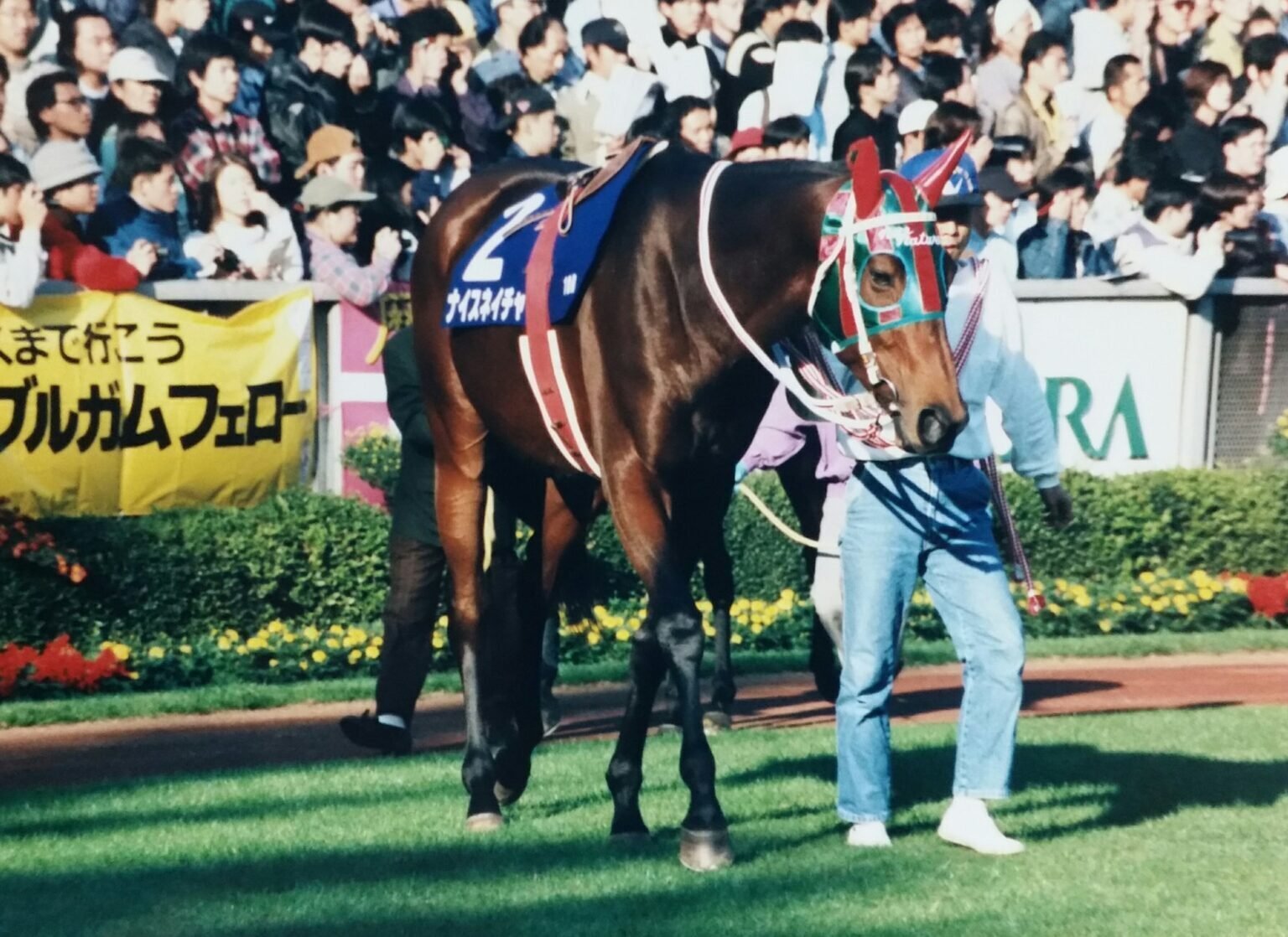 無冠の帝王ナイスネイチャ｜かず