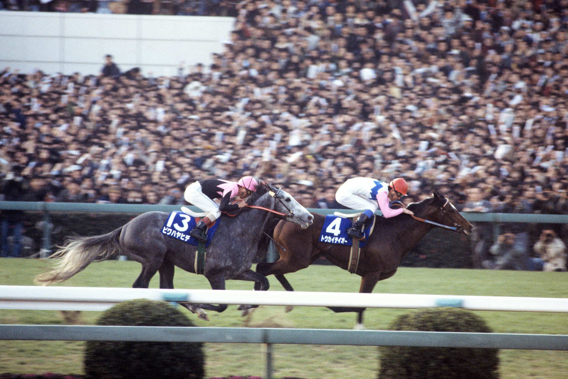 トウカイテイオーの凄み｜かず