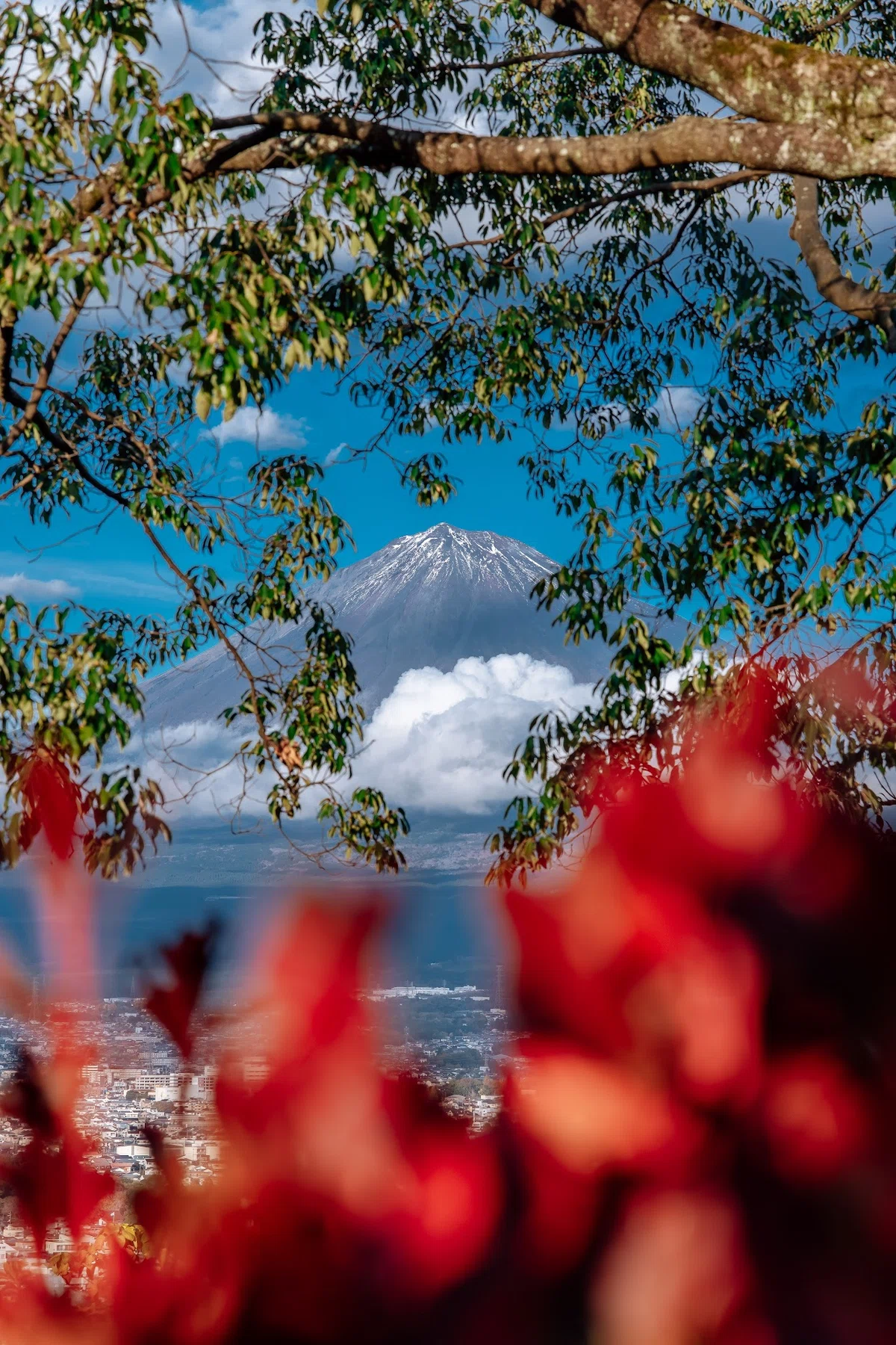 [The Shock of the 50,000 Yen Range] AstrHori 85mm F1.8 II Metal Barrel ...