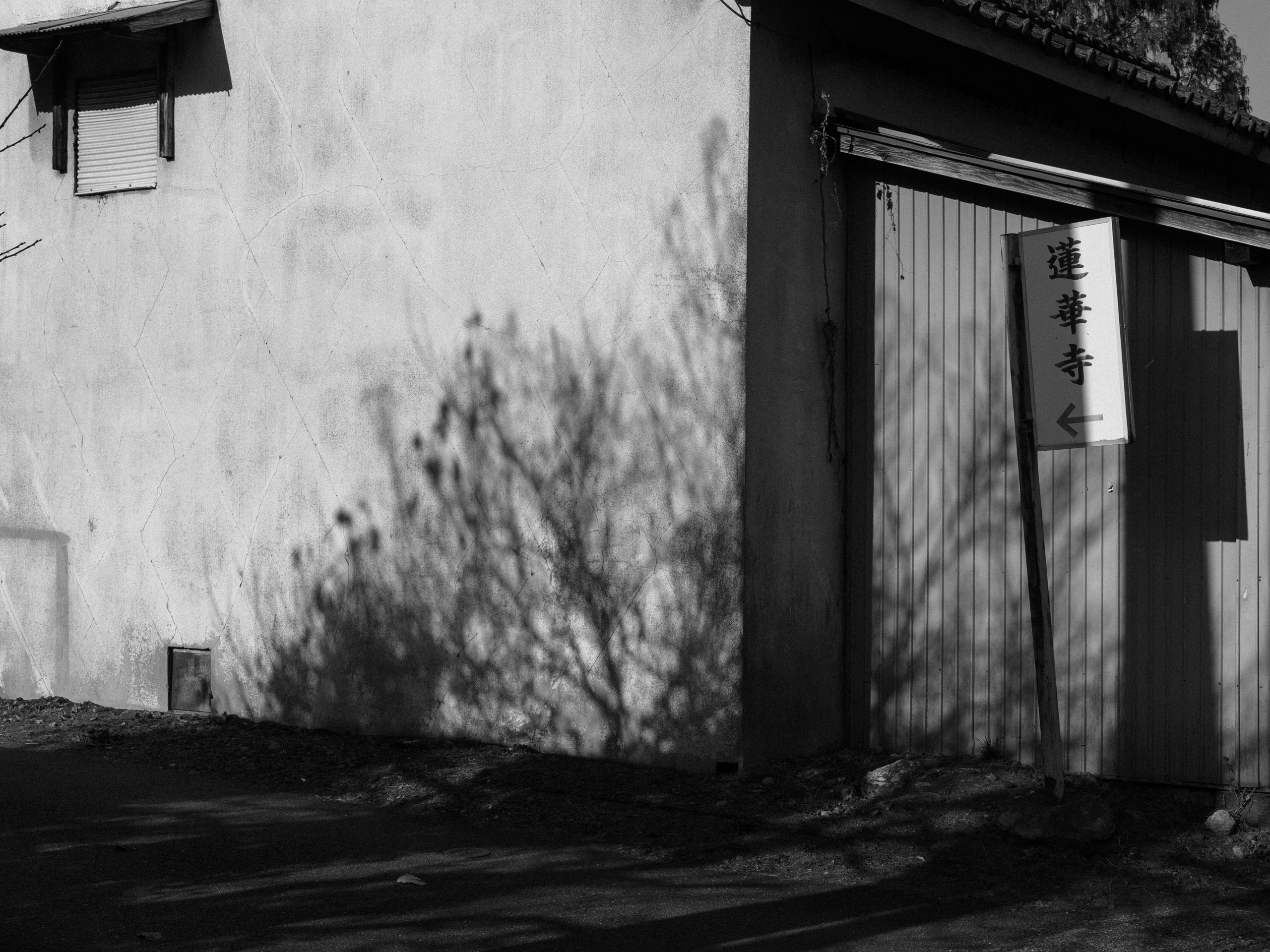 写真を見て下さい 写真なんて絞って撮ればそこそこ上手く見えるのよ｜kimura noriaki