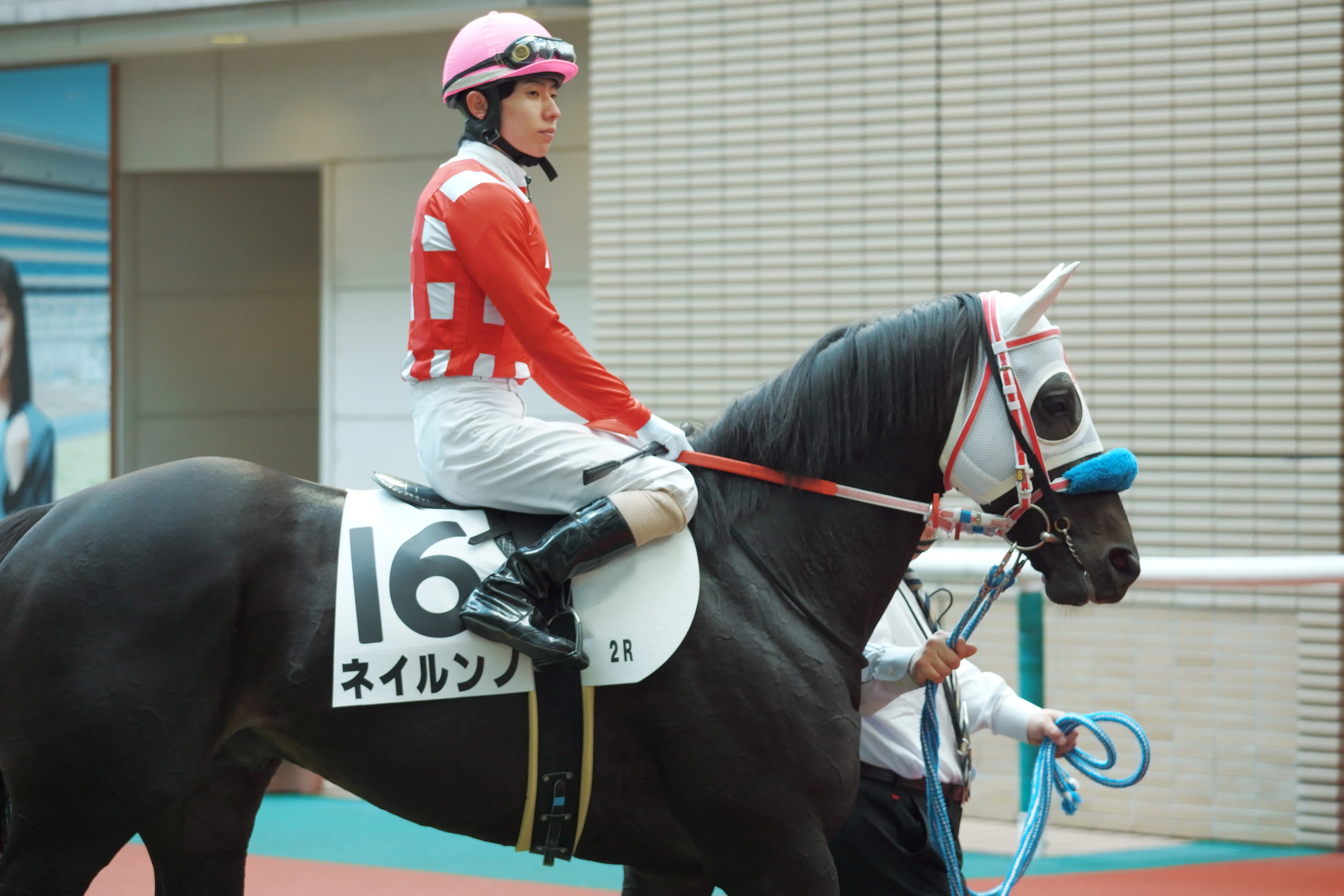 福島記念パドック地蔵日記&今年の競馬場現地観戦振り返り｜たきざわ