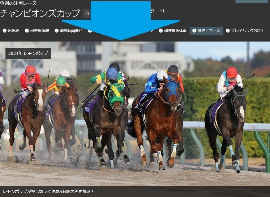 チャンピオンズカップ2025 サイン馬券｜チャンピオンズカップの画像