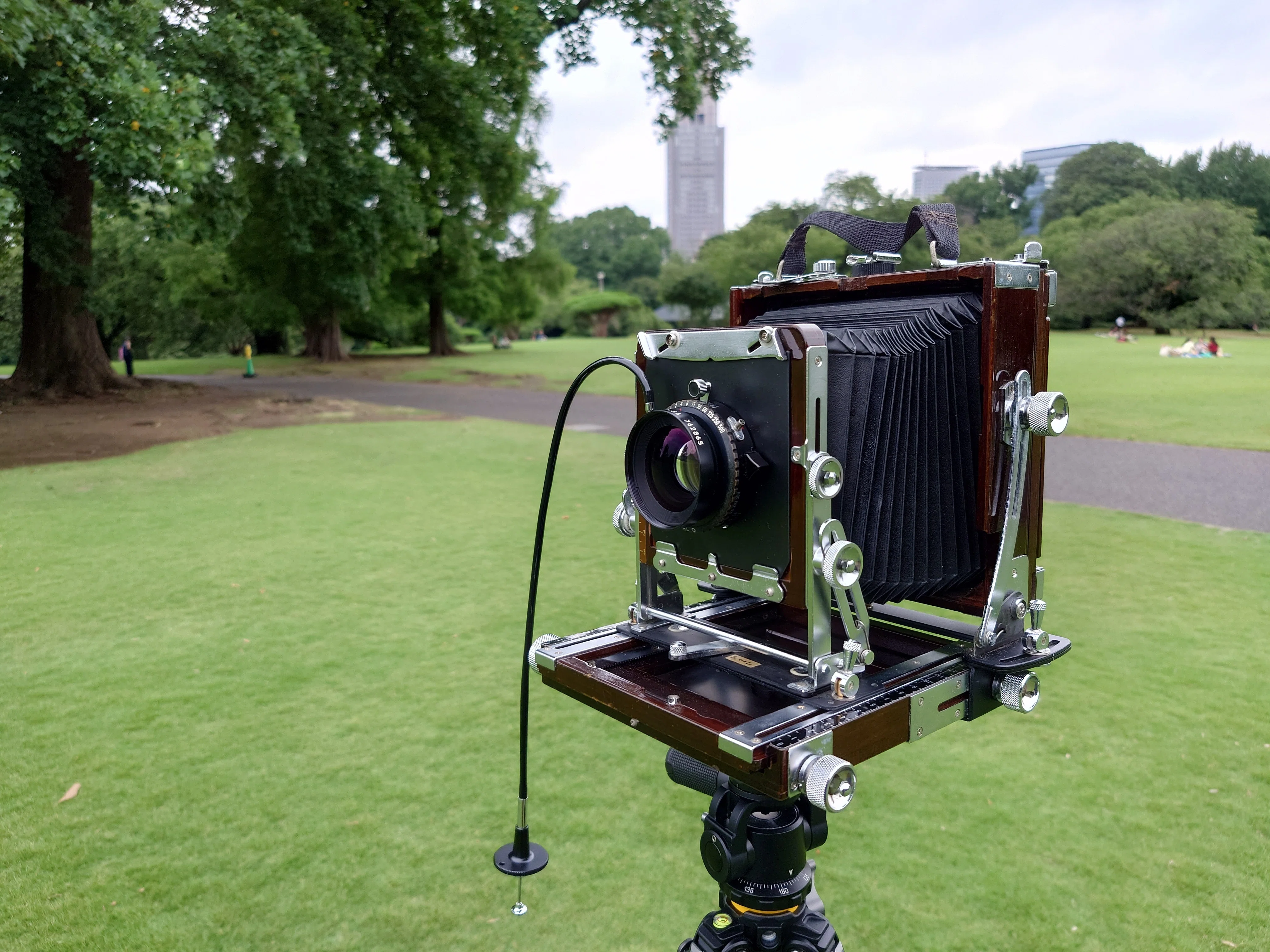 4x5大判カメラ導入した！｜たも2