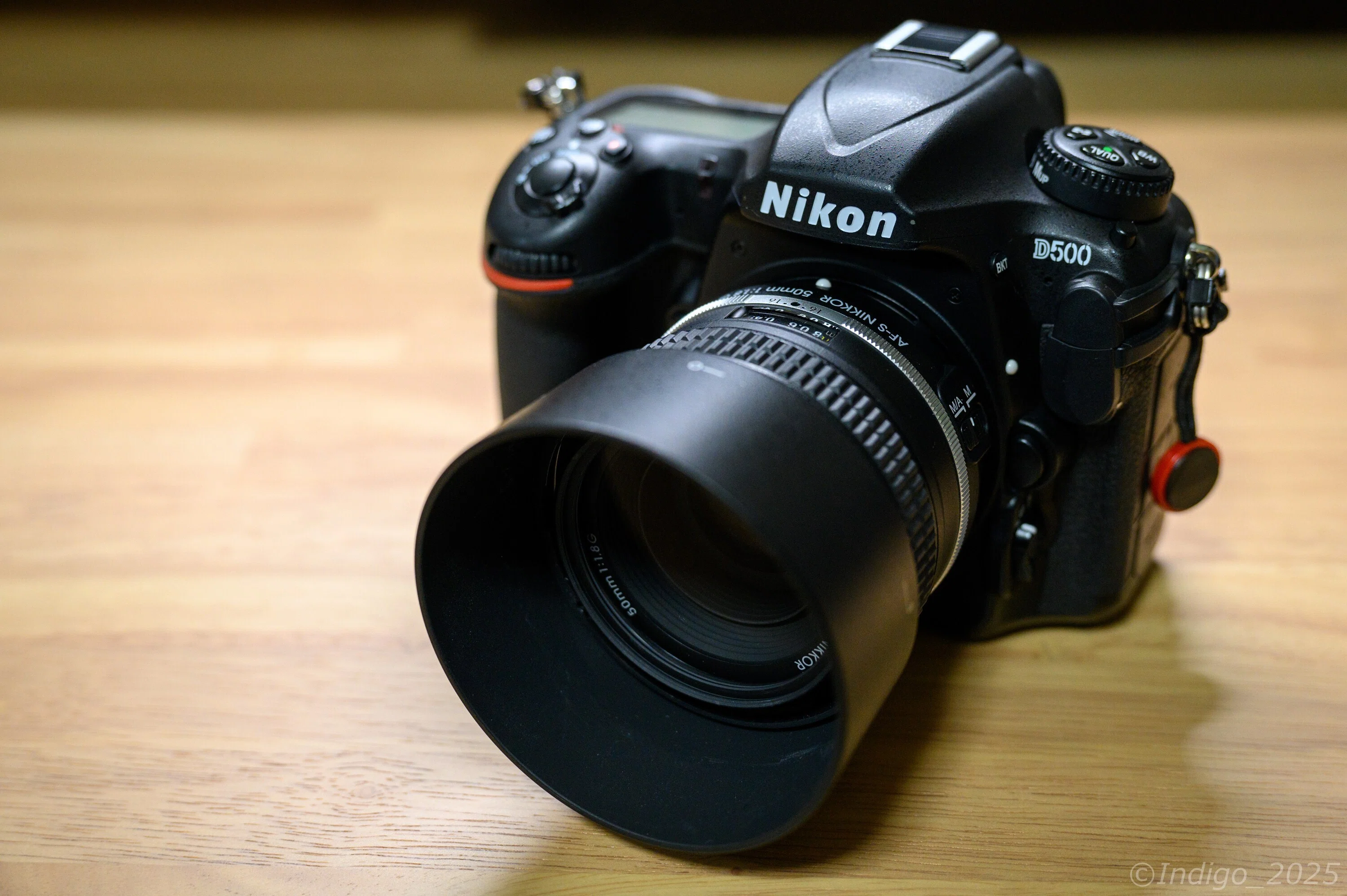 Nikon D500 50mm 単焦点とズームレンズ2本！ 水族館撮影】ニコンD500でよく使ってるレンズの話。 | 水族館で、魚を