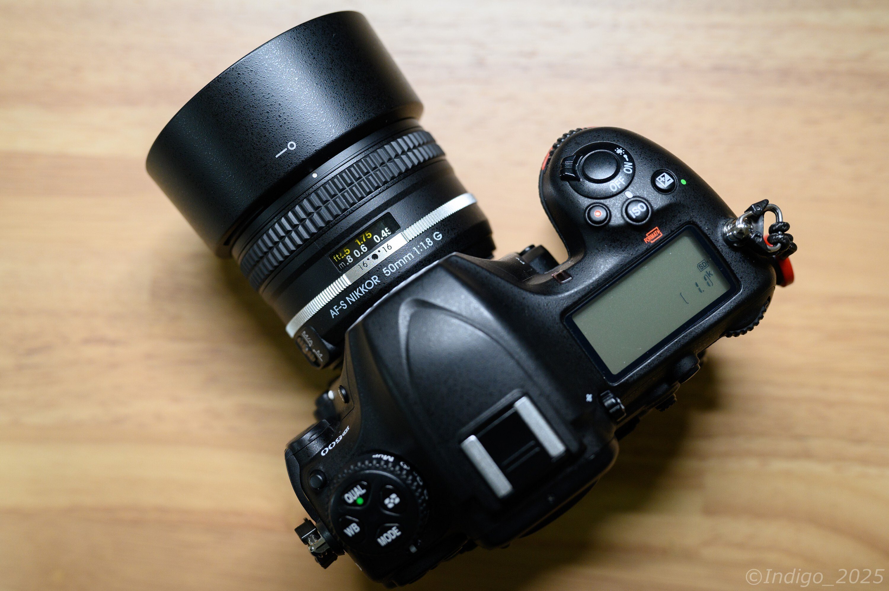 D500と75mmの世界｜Indigo