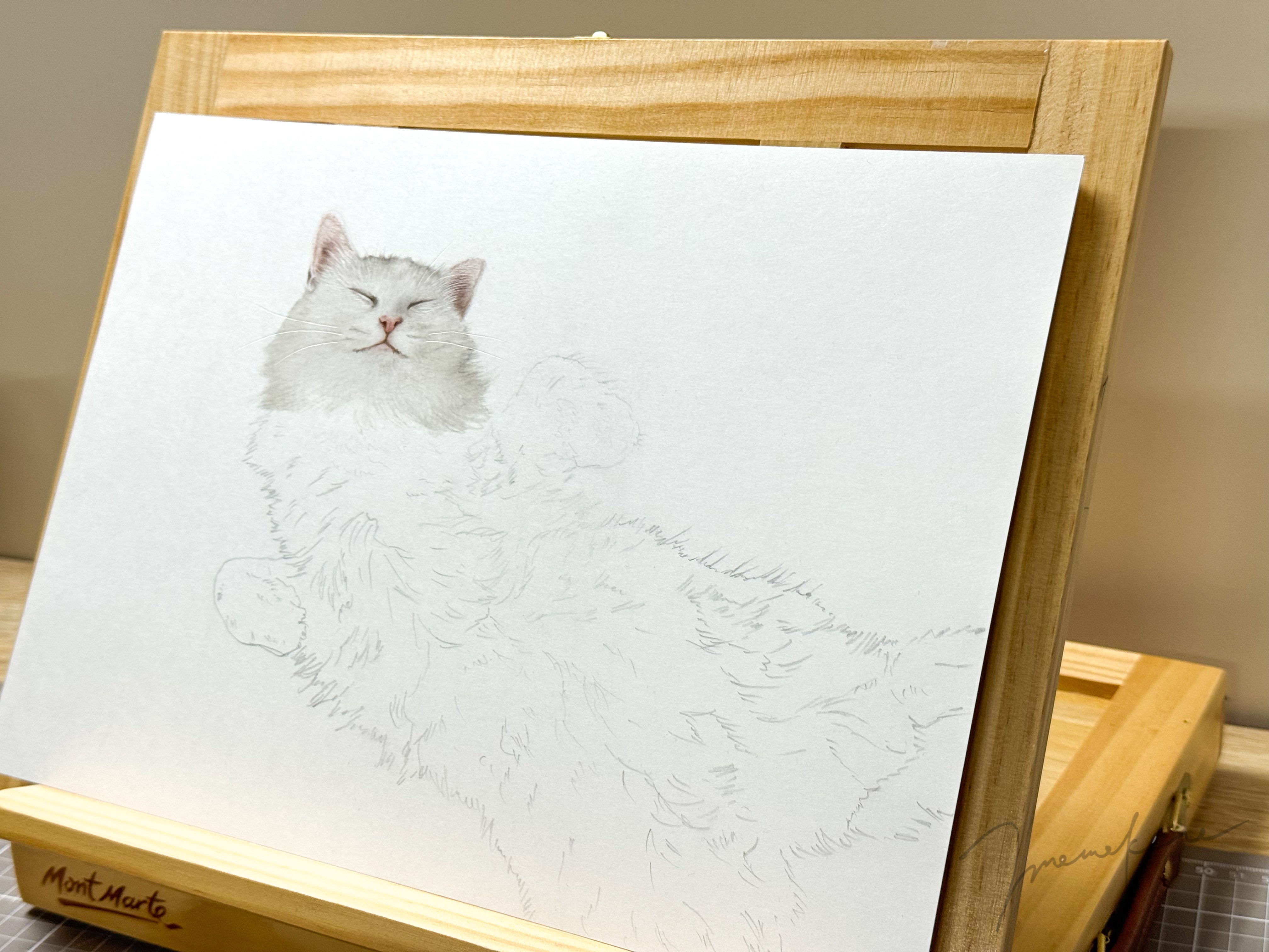 白猫ちゃんを描いていきます｜mamekoro