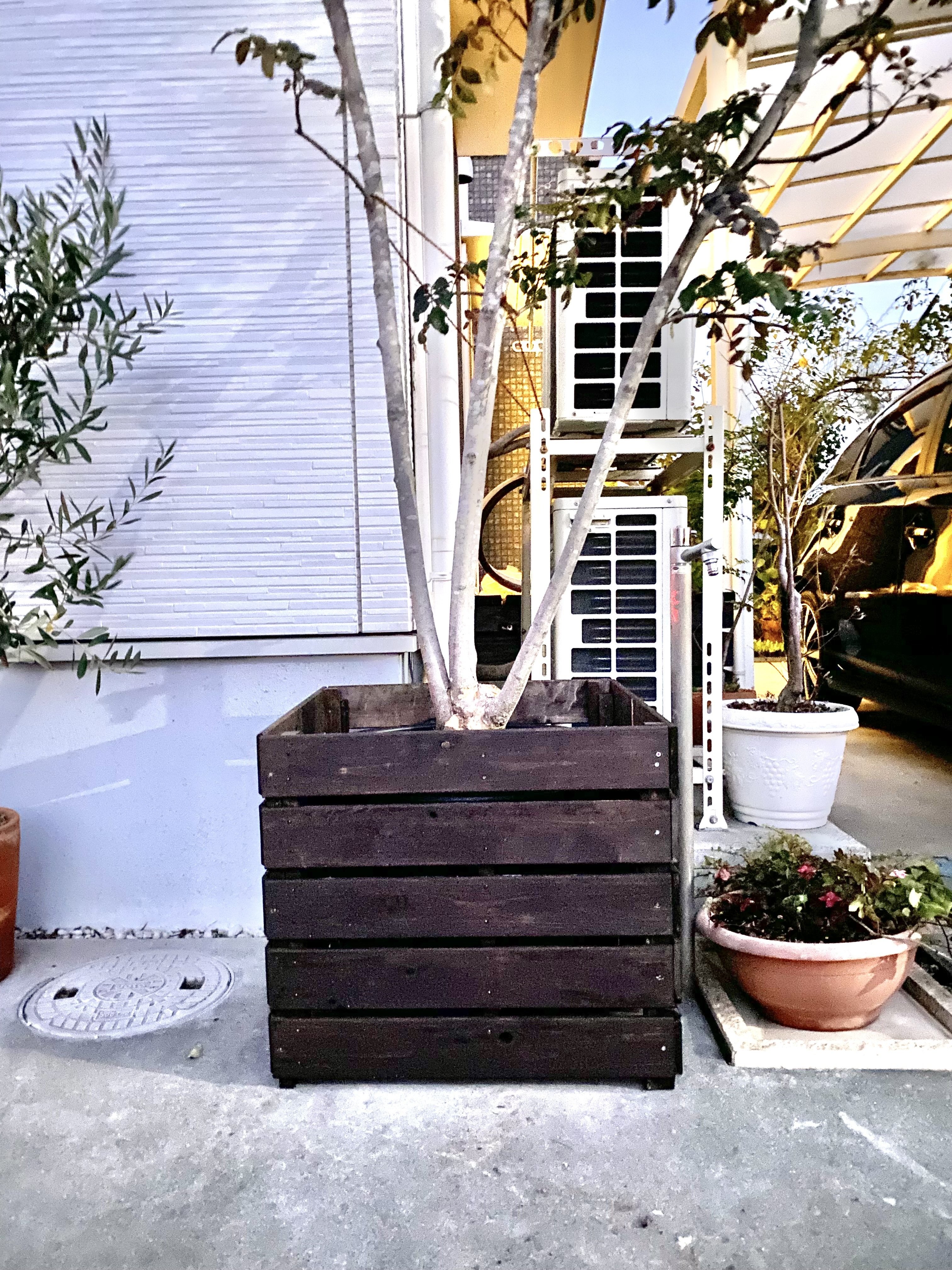 誕生日には植物からのメッセージ｜RIEKO