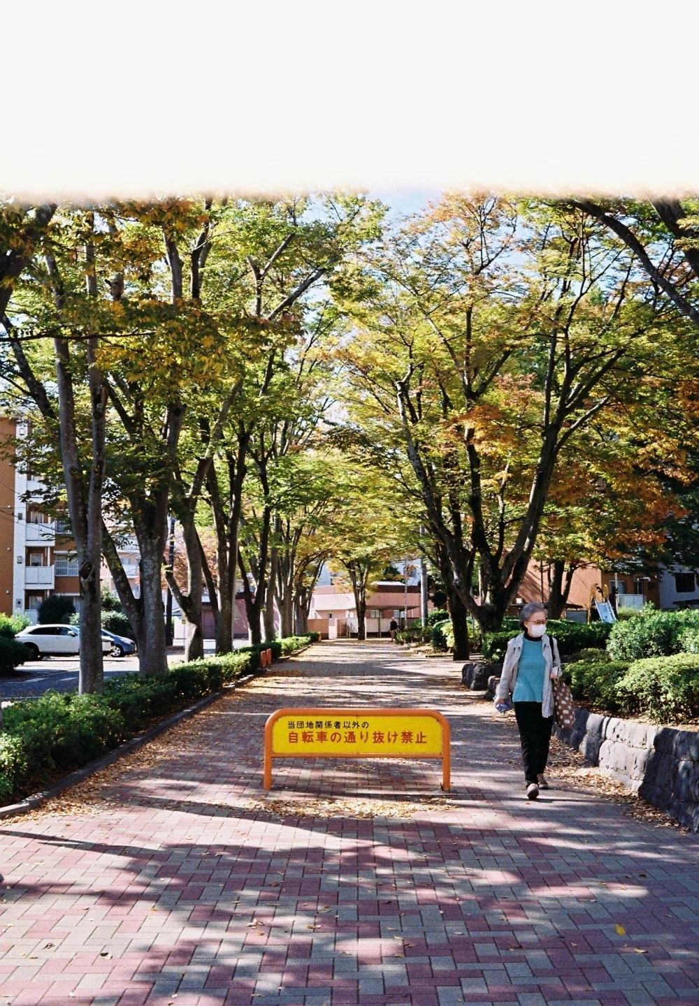 46．ちょっとだけデラックス PETRI COLOR 35D＜カメラ＞｜神成