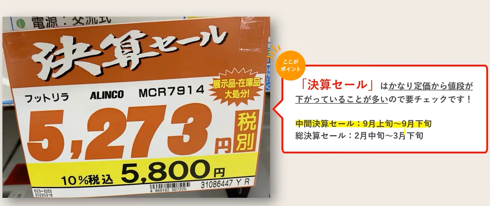 活動歴および当時の関連ビジュアル記録