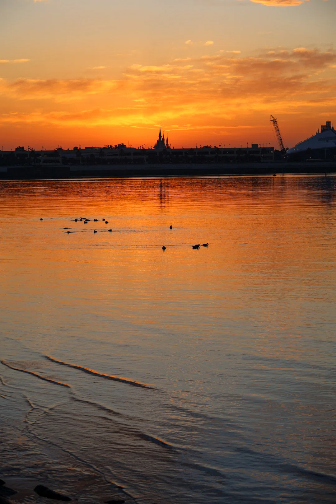 葛西臨海公園の朝景_20251201｜Toru Shiratori