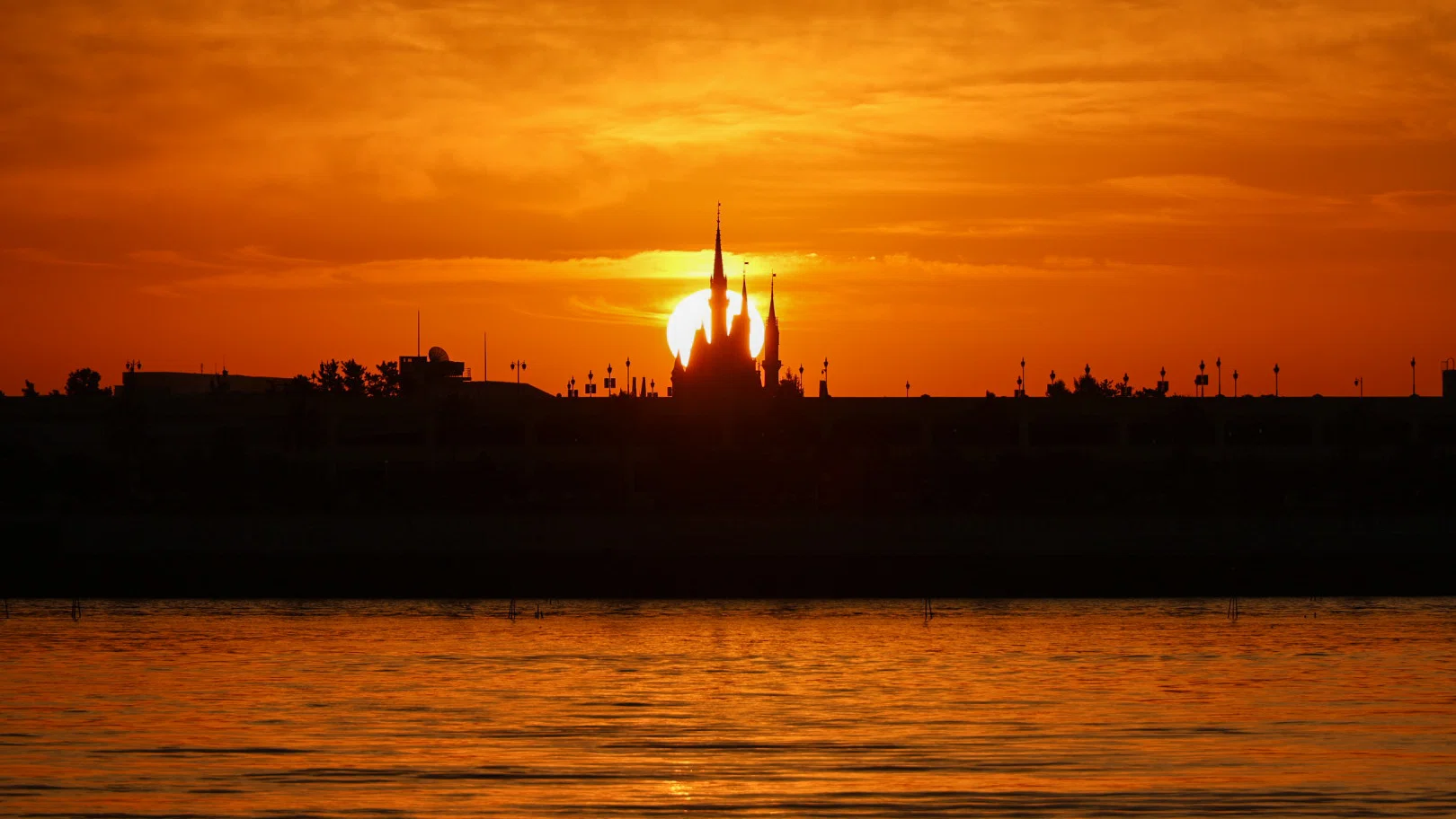 葛西臨海公園の朝景_20251201｜Toru Shiratori