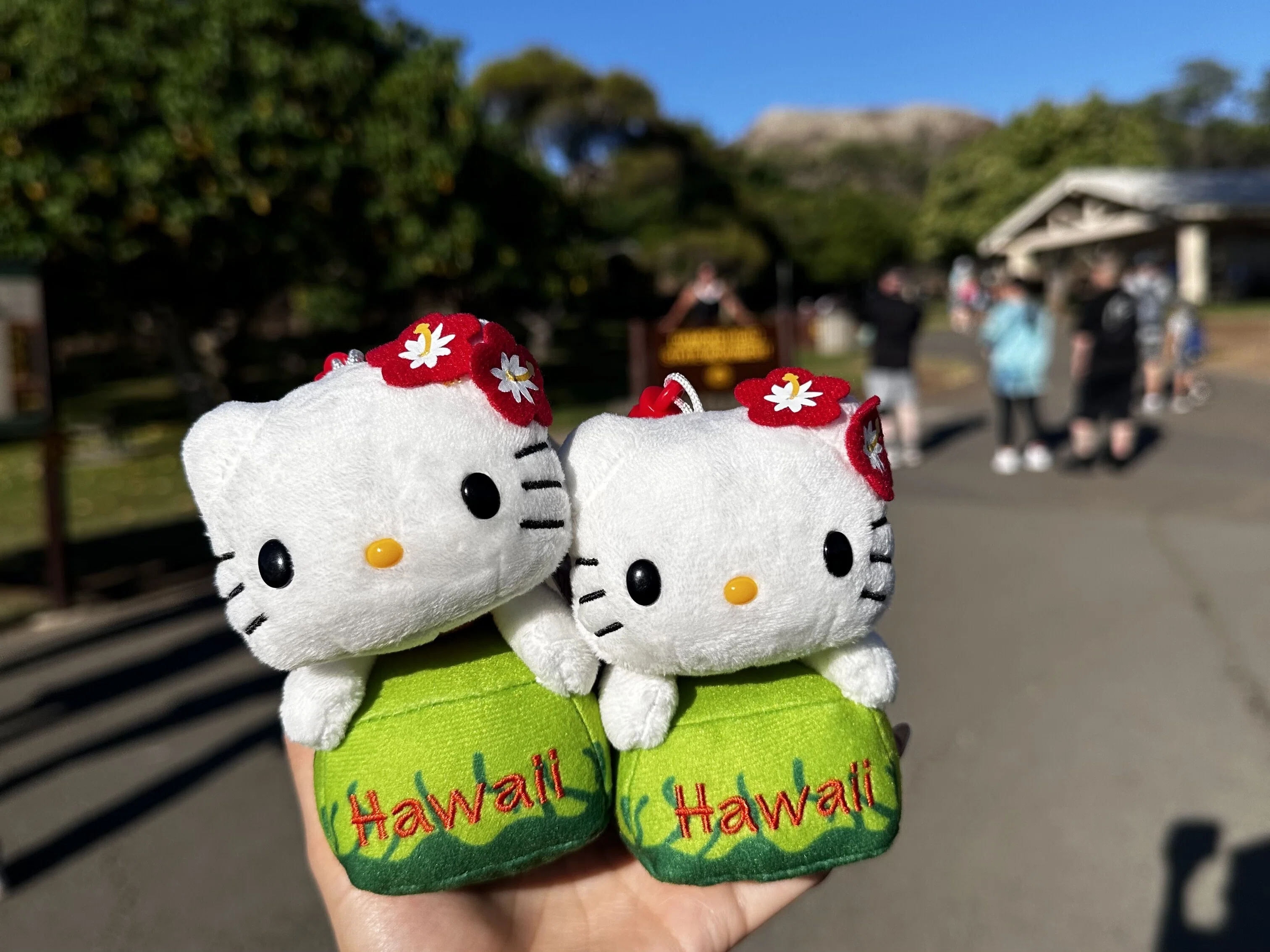 ハワイお土産｜サンリオ×ハワイ限定お土産 & おすすめグルメ調味料