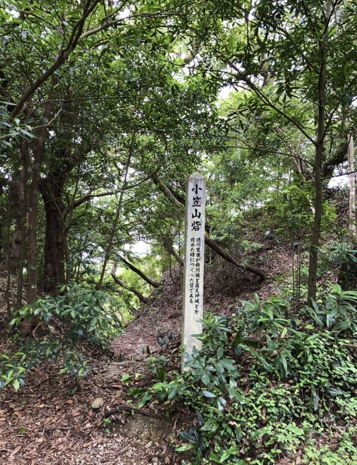高天神城攻防戦 ②六砦（記録）｜ぐこ