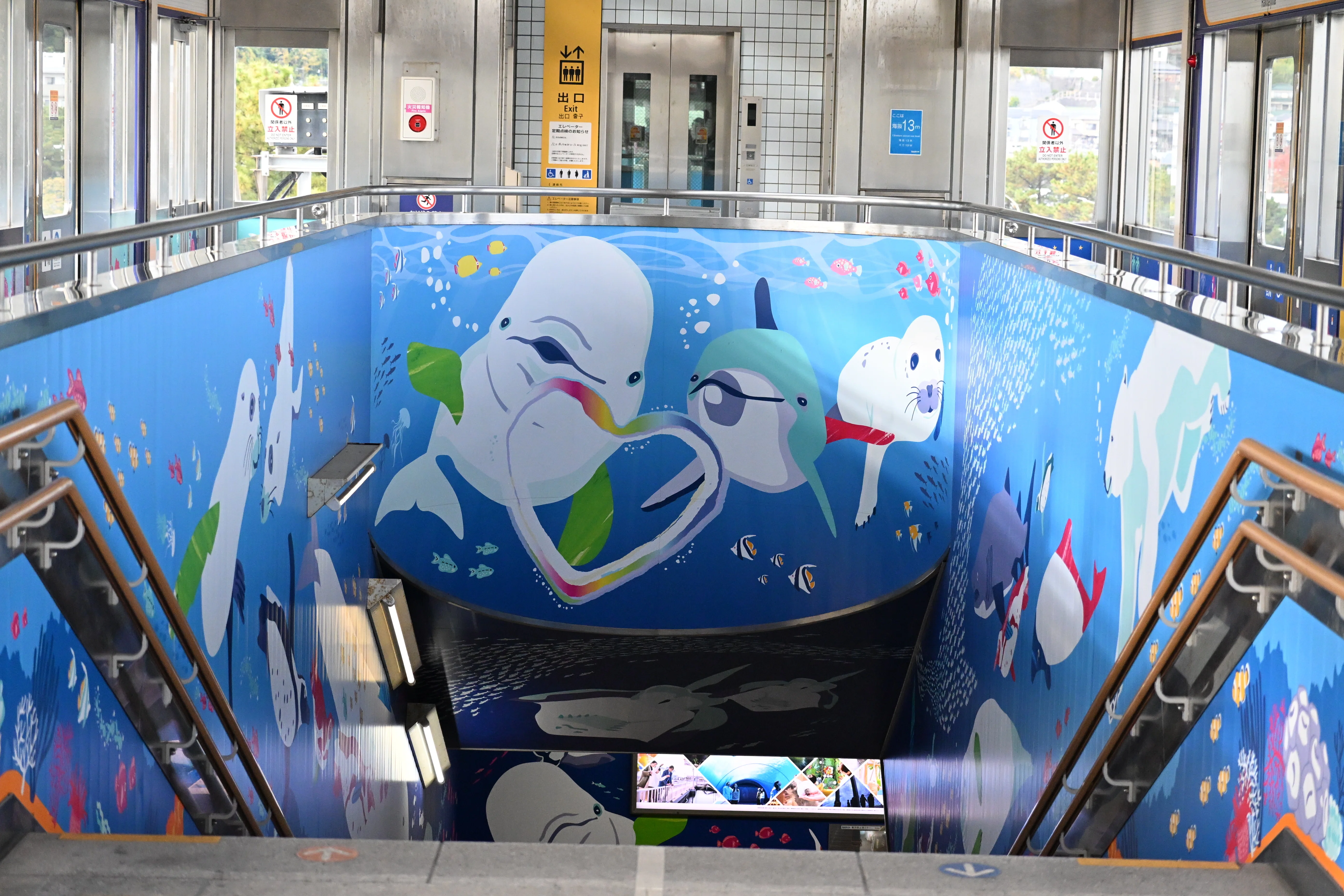 20251129_八景島シーパラダイス【Nikon Z50IIと水族館】｜山ネズミ