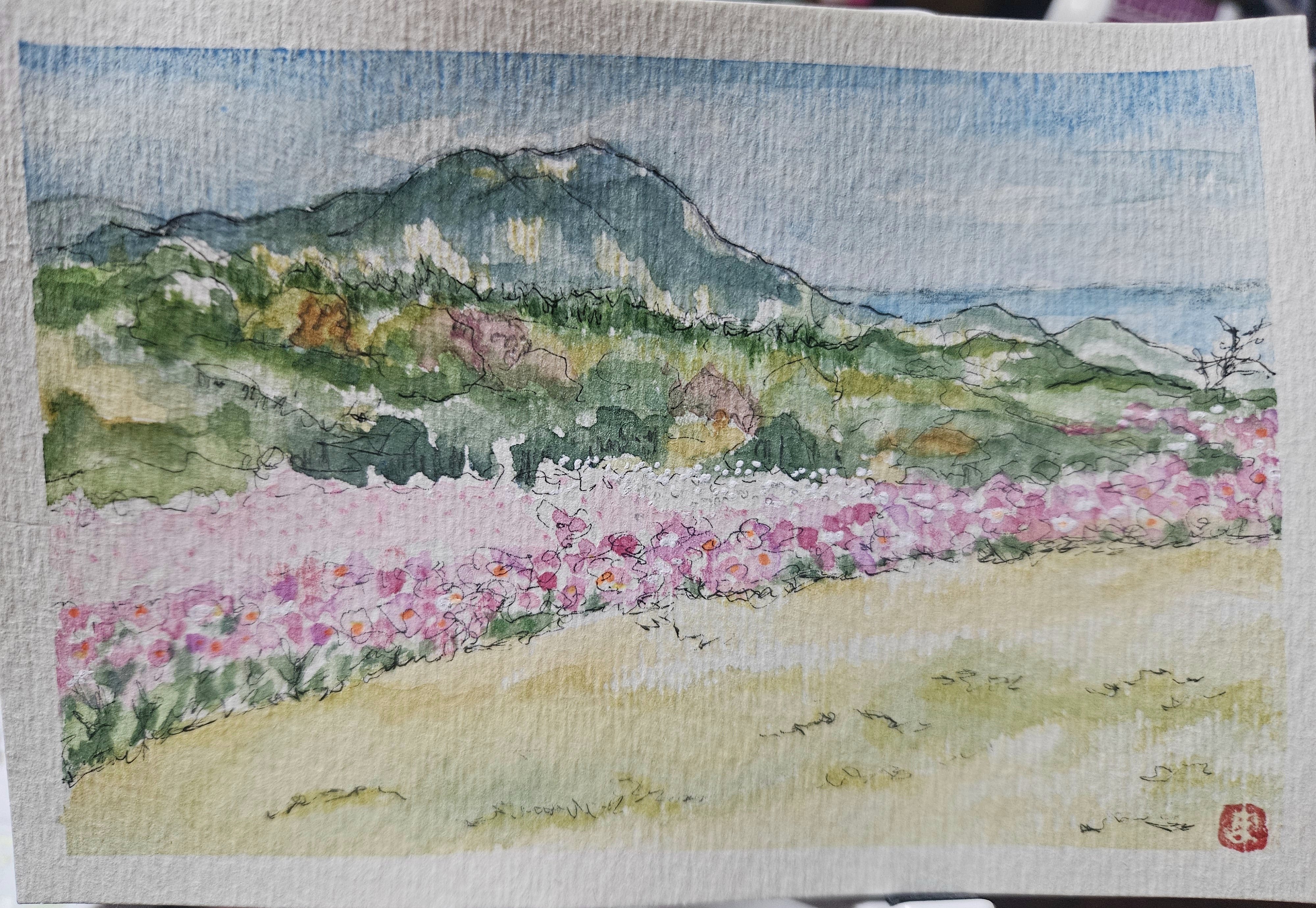 淡路島 花さじきⅡ～*｜marikon*