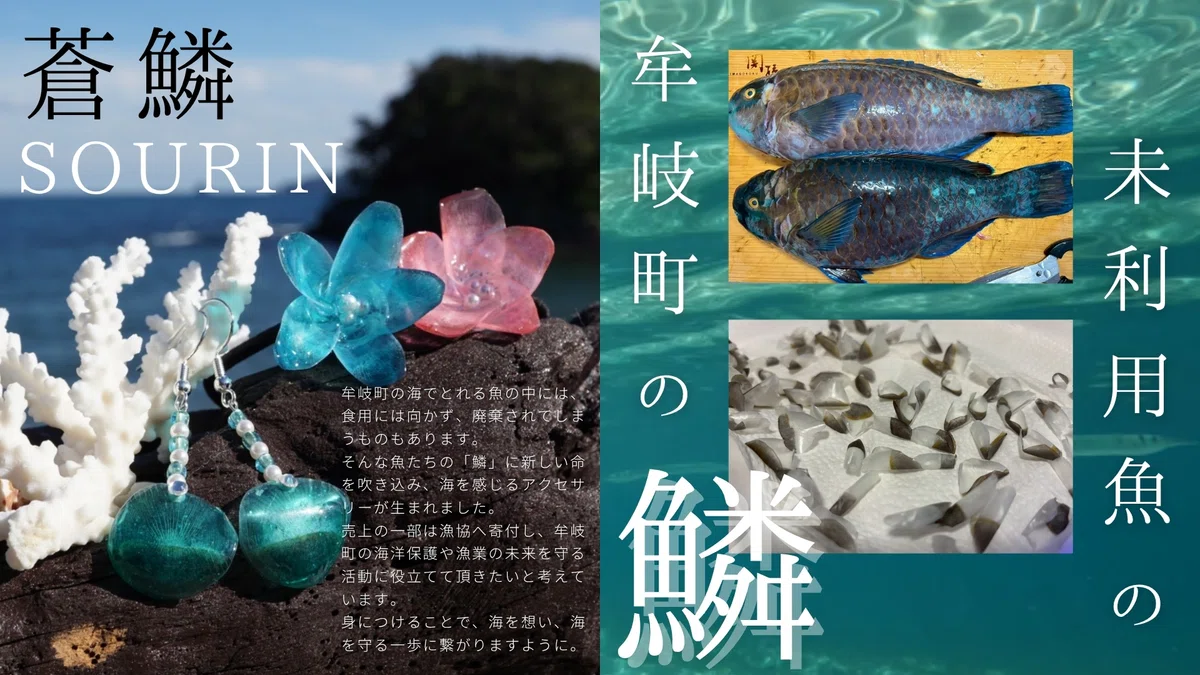 【未利用魚の鱗アクセサリー「蒼鱗」誕生】海洋プラスチックごみをアップサイクルする徳島県・牟岐町のブランド「emeraldblue」オンライン ...