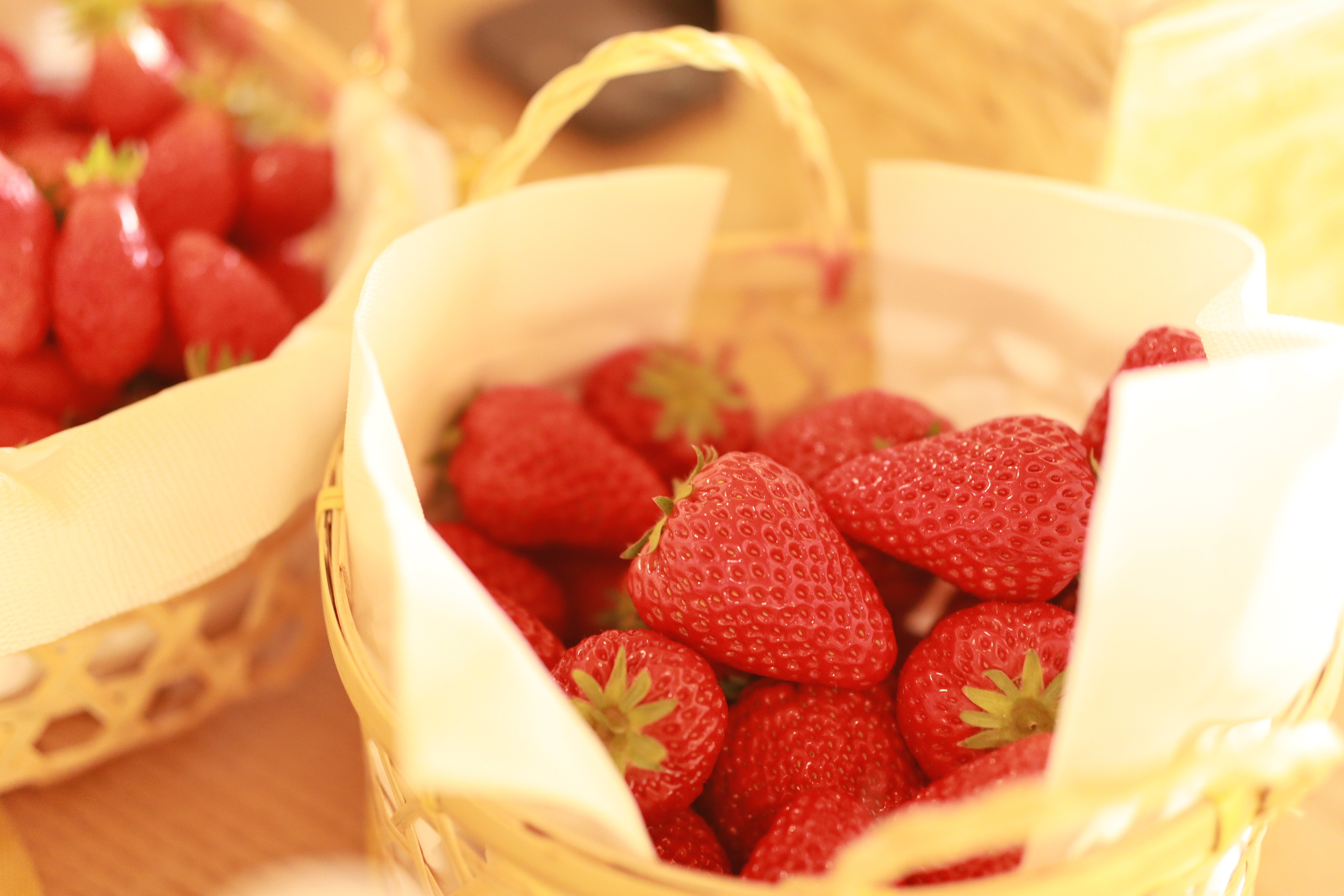 2025まとめ】いちごラジオ・note・SNSを掛け合わせた「学びの再構築