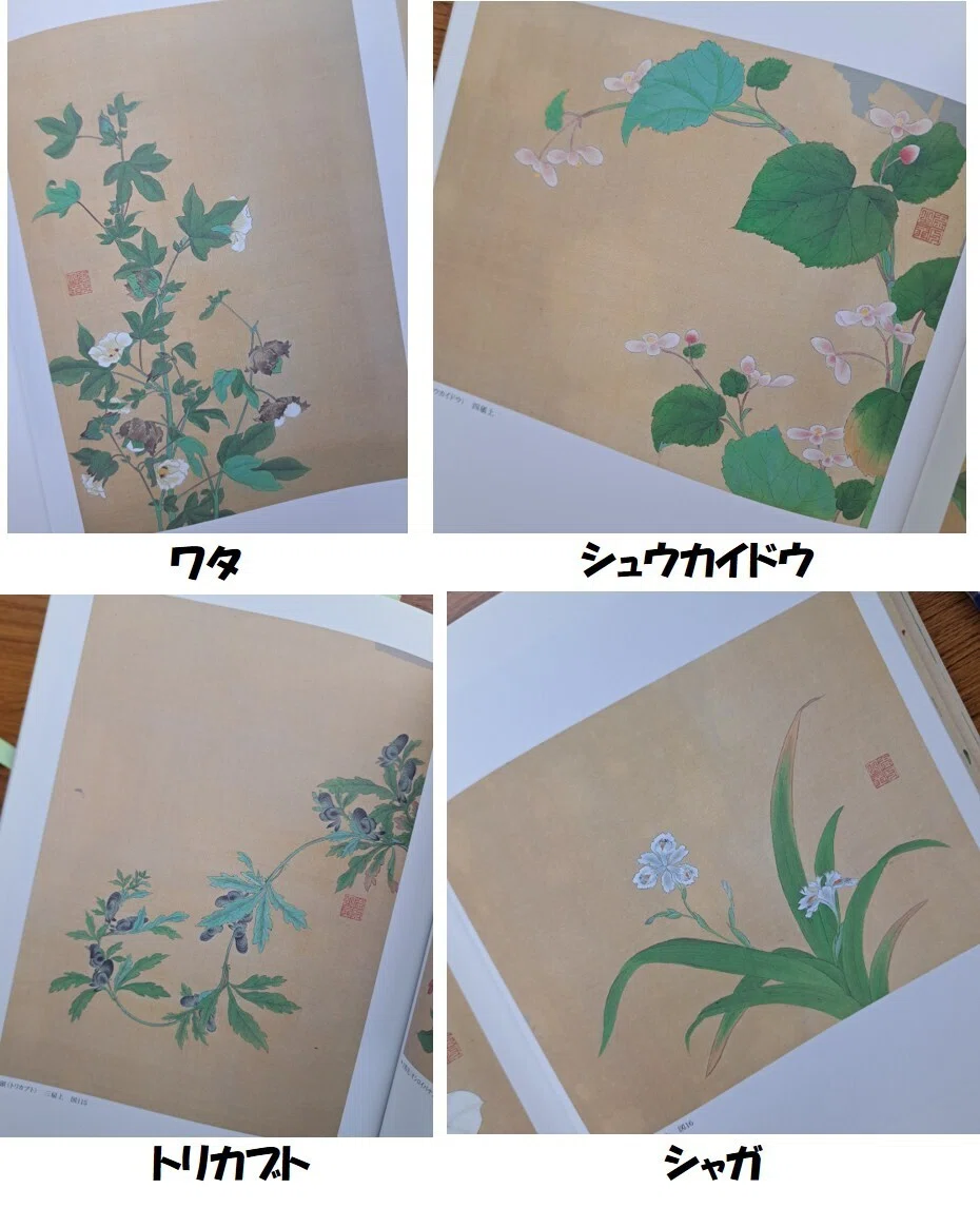 植物画とは何か＞（4）ー2：「花木真寫」と《花木真寫貼交屏風》の