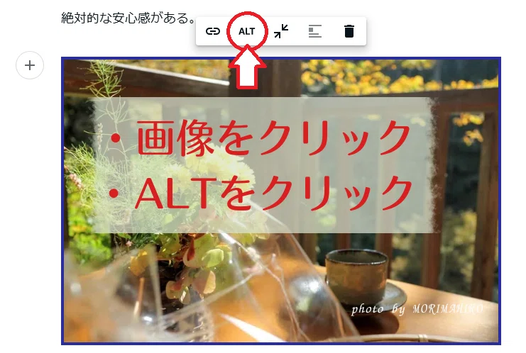 alt属性の説明画像