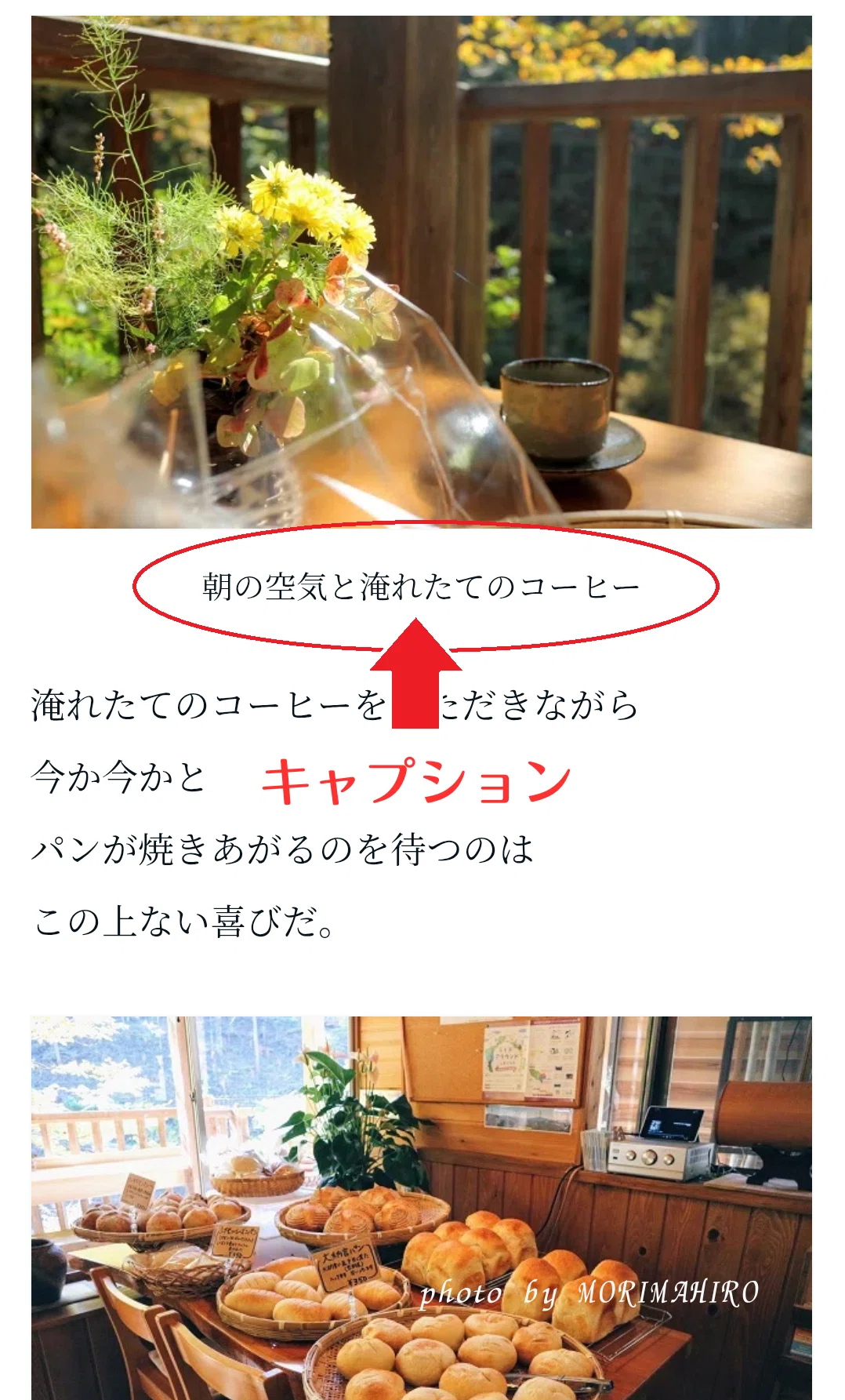キャプションの説明画像