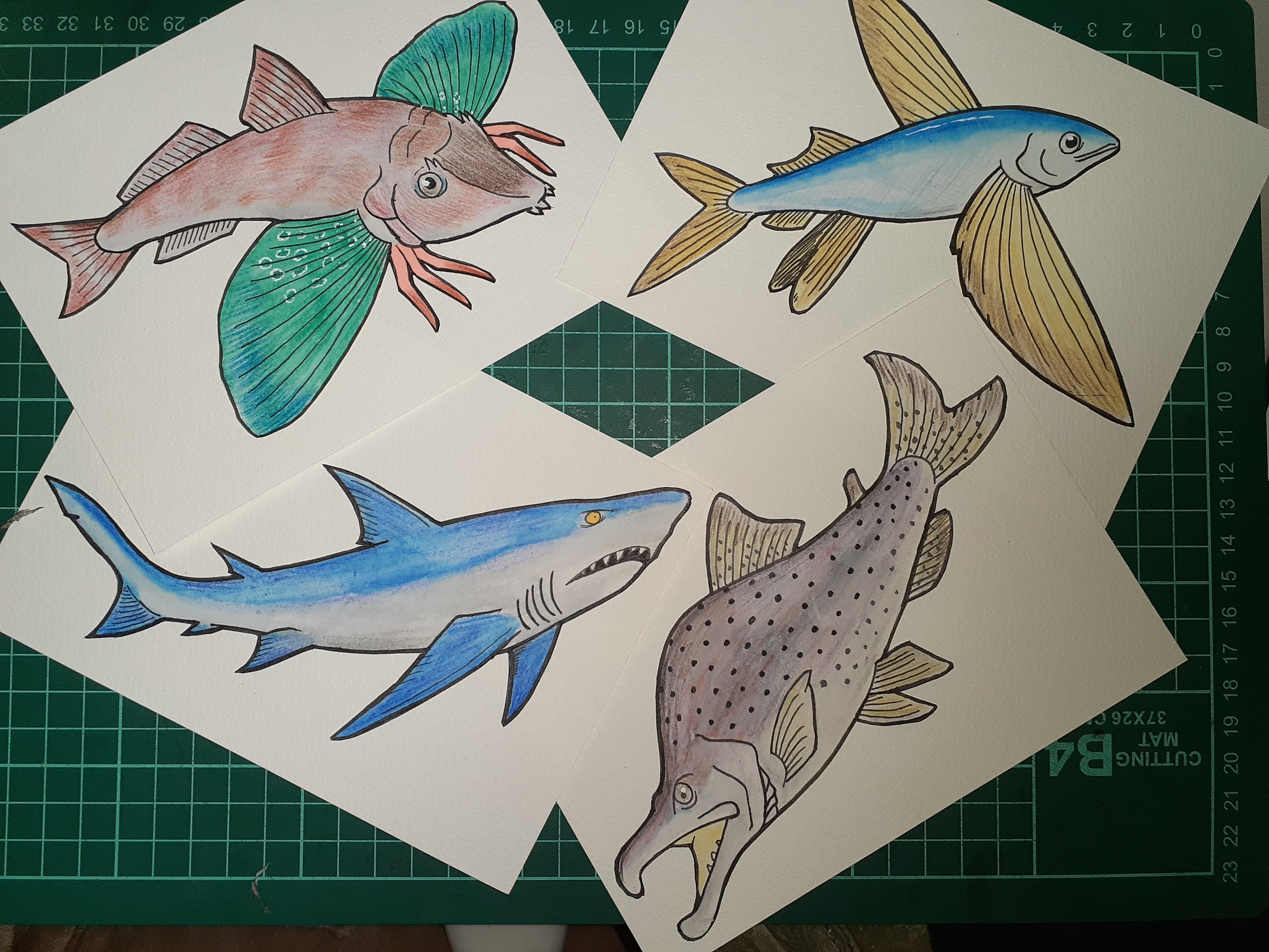 イラスト】魚四題｜TechpanCreate（テクパン・クリエイト）