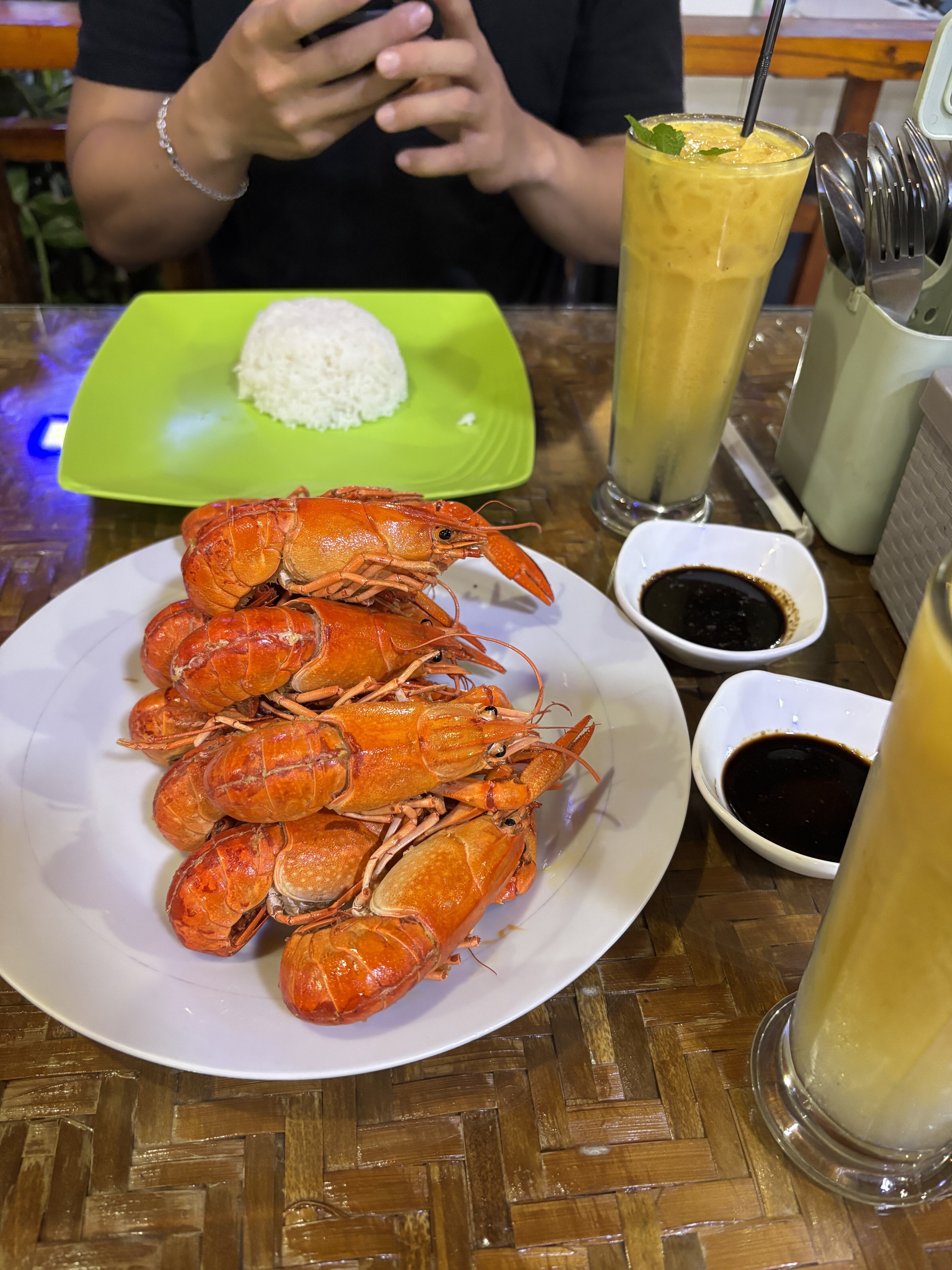 スマトラ旅#1】Medanからバタック族のいるToba湖へ-前半-｜ことみん