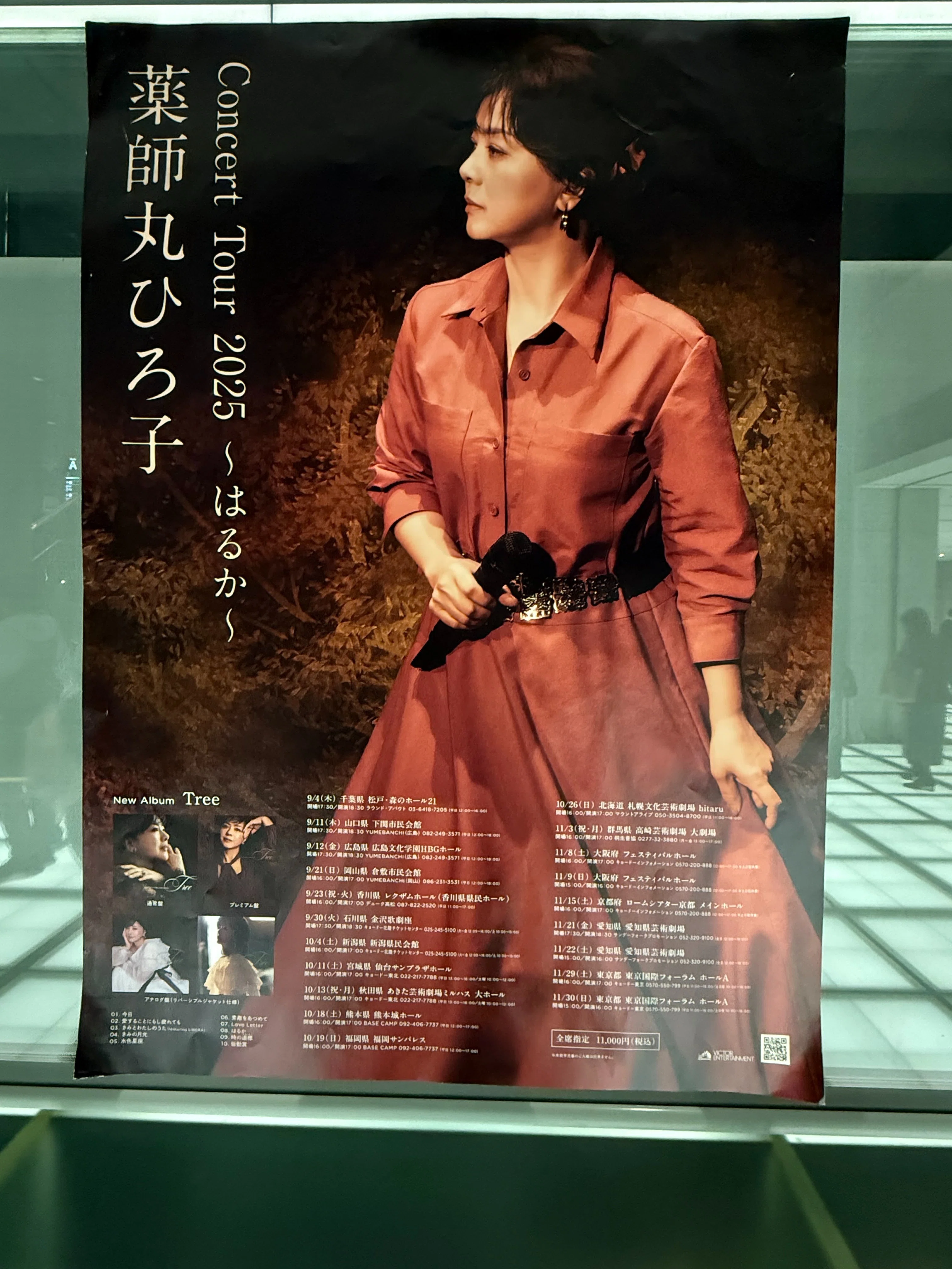 Enjoying Life Part 39: I went to see Hiroko Yakushimaru's concert