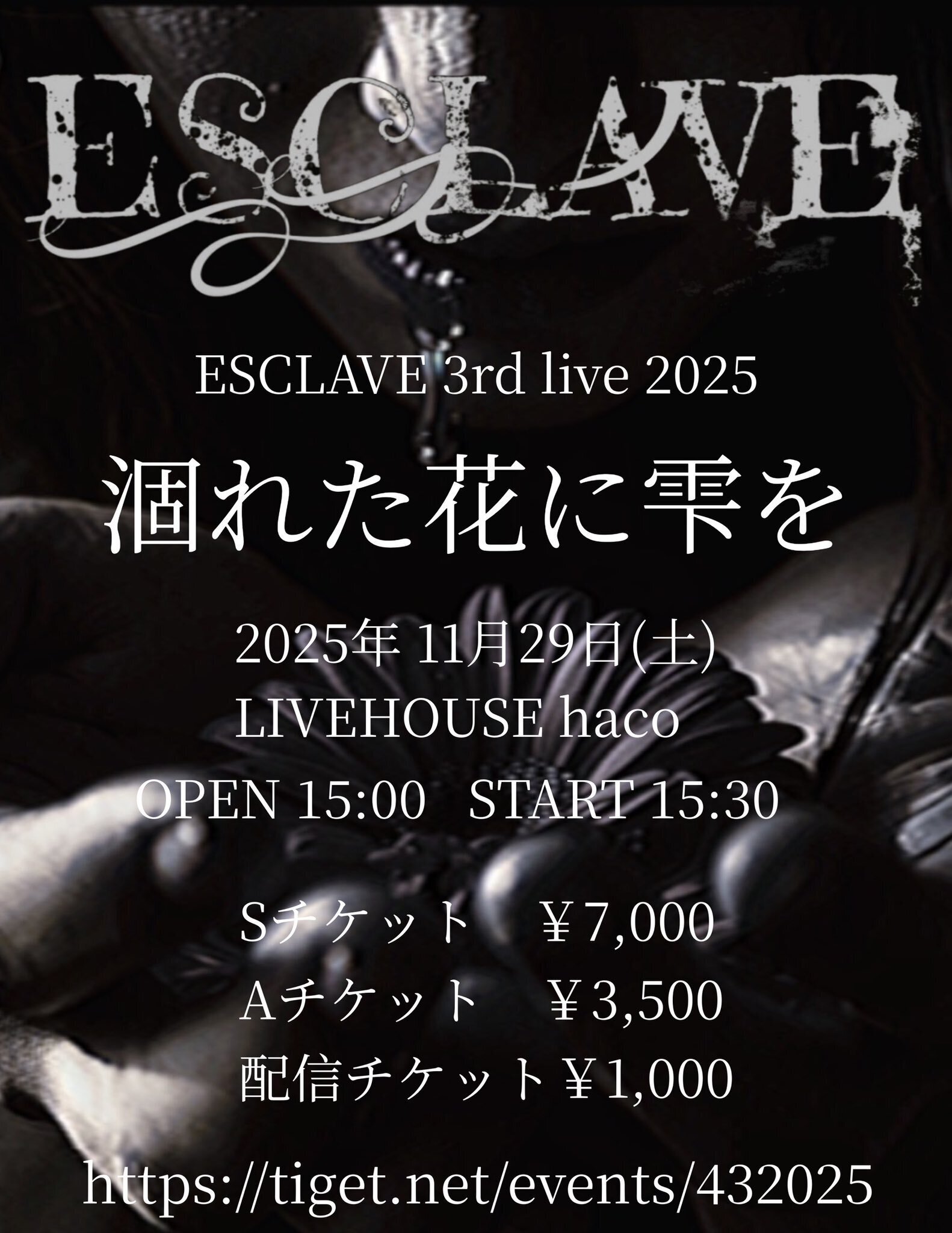 11.29ライブを終えて②｜Takahito