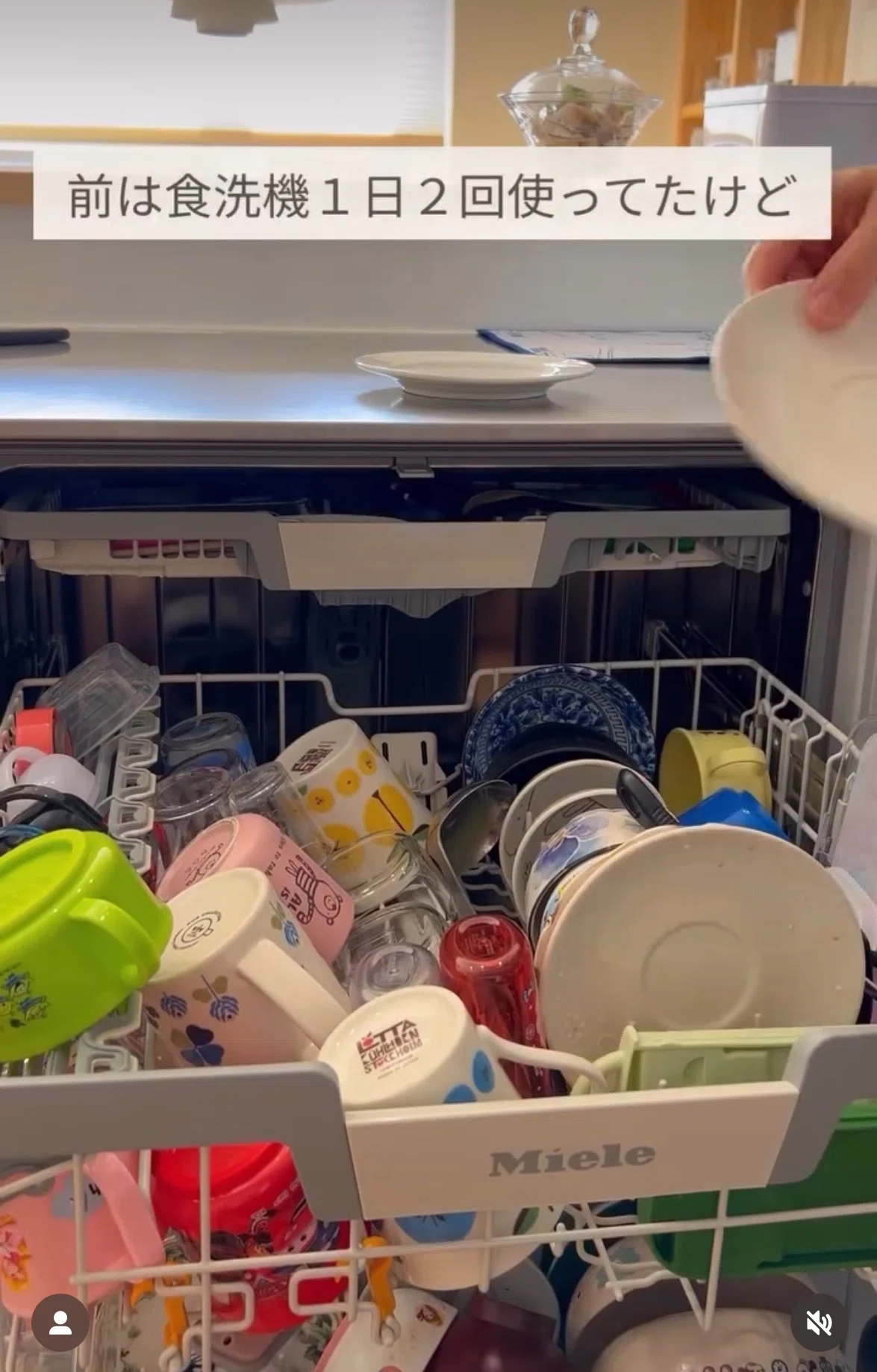 4人家族1日分が洗える食洗機｜わかめ