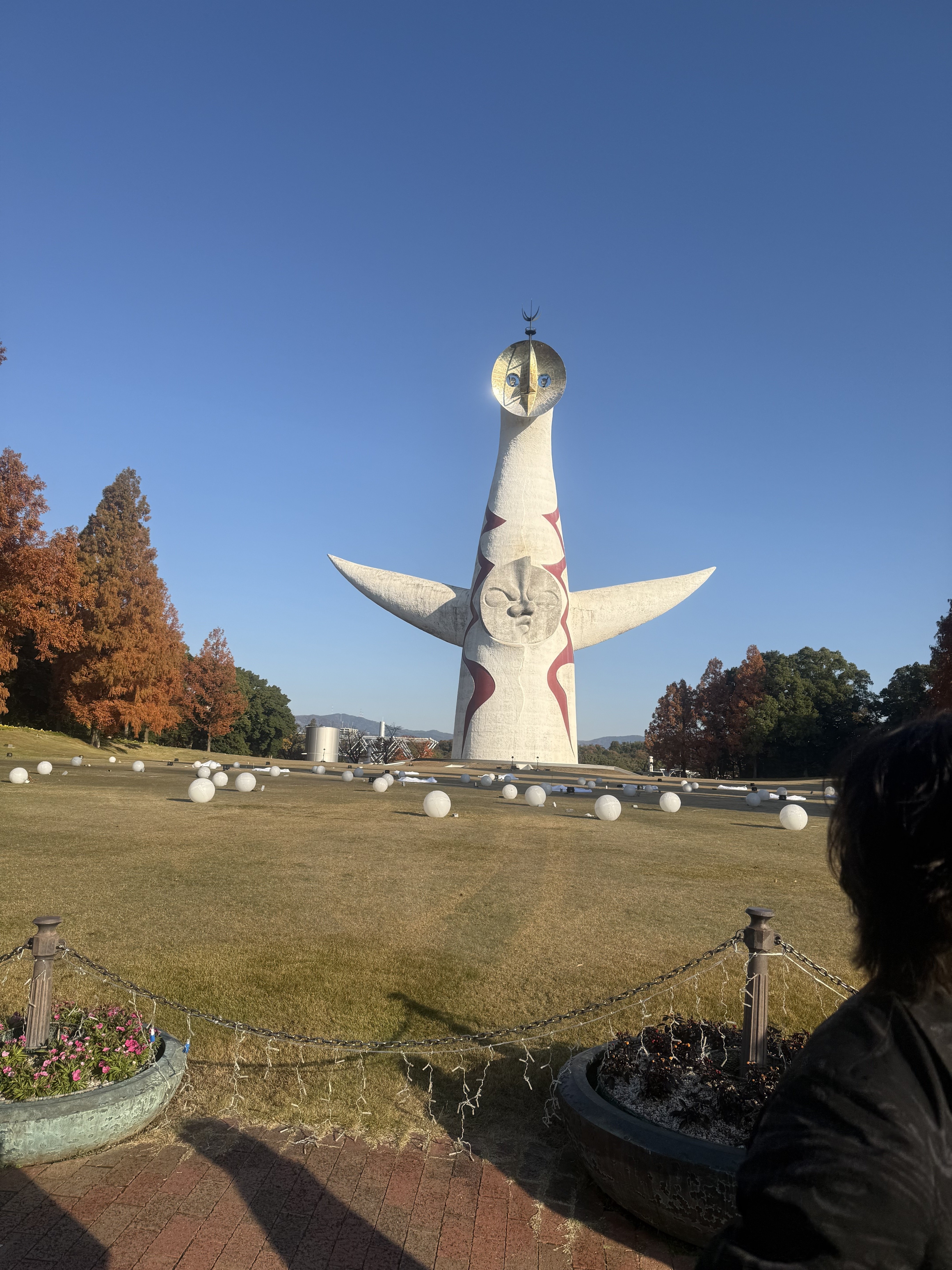 ぬるの49日が終わりました｜落合陽一