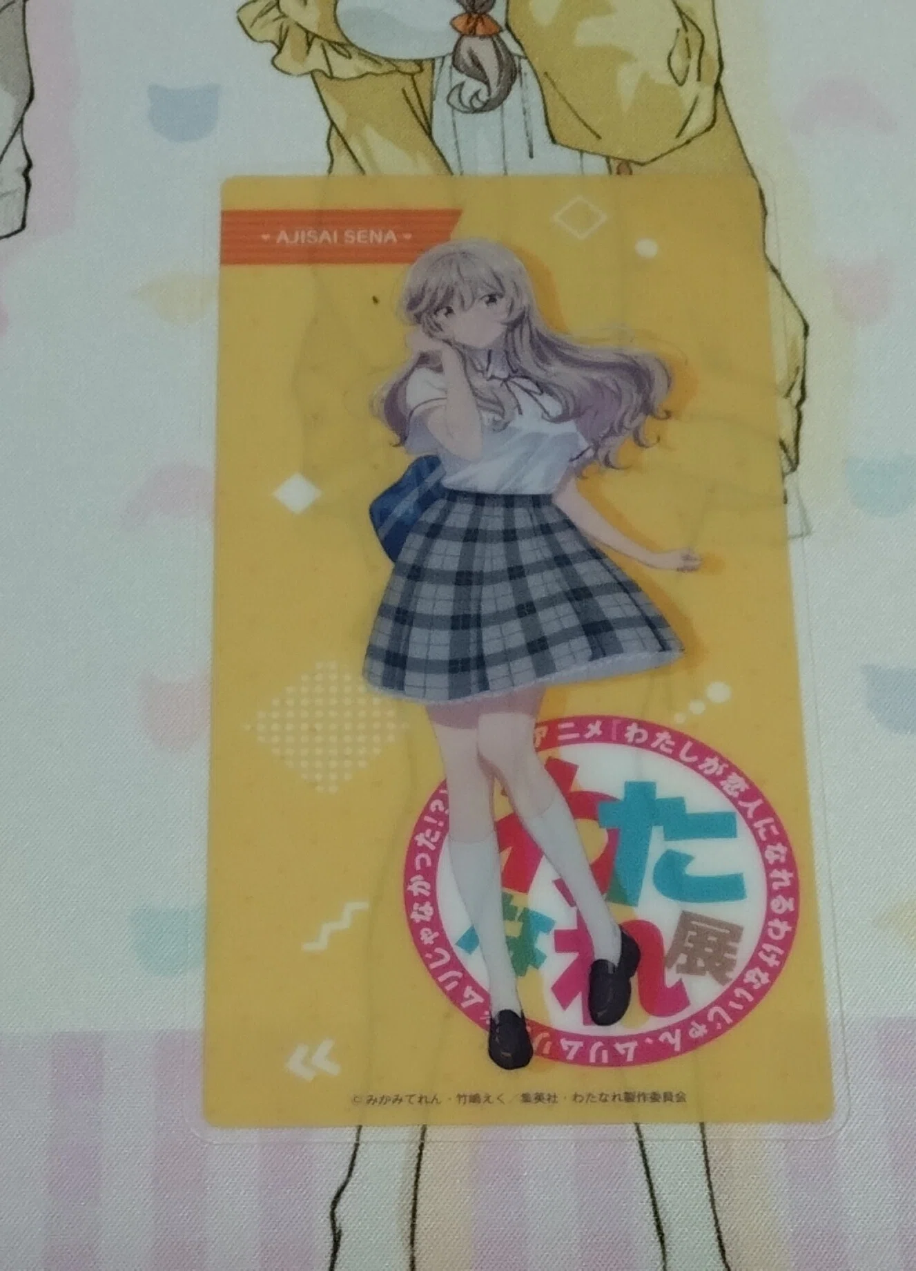 大巡礼ふみちゃん様オーダー 第3回購入品紹介｜立風太