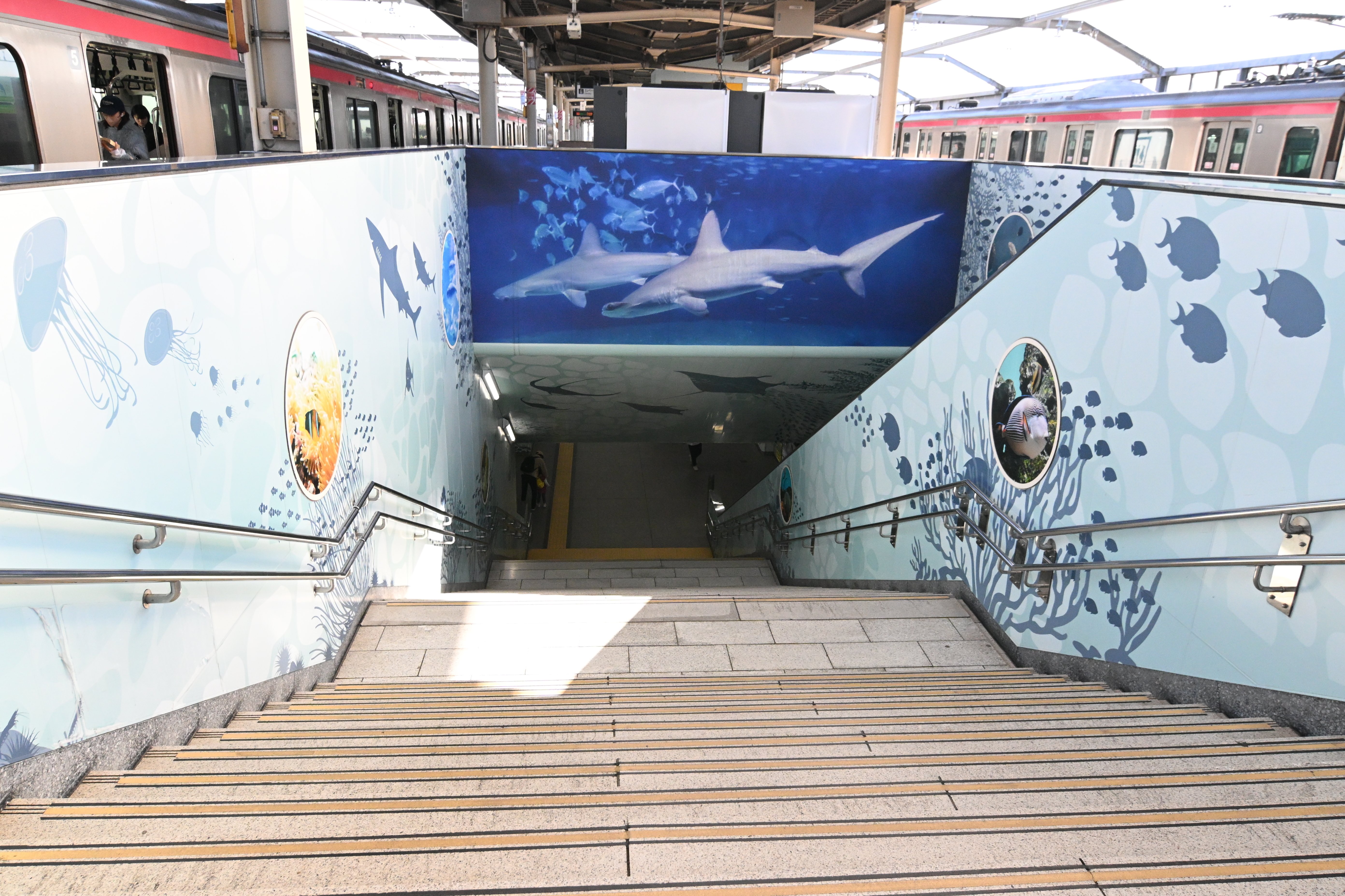 20251130_葛西臨海水族園【Nikon Z50IIと水族館】｜山ネズミ