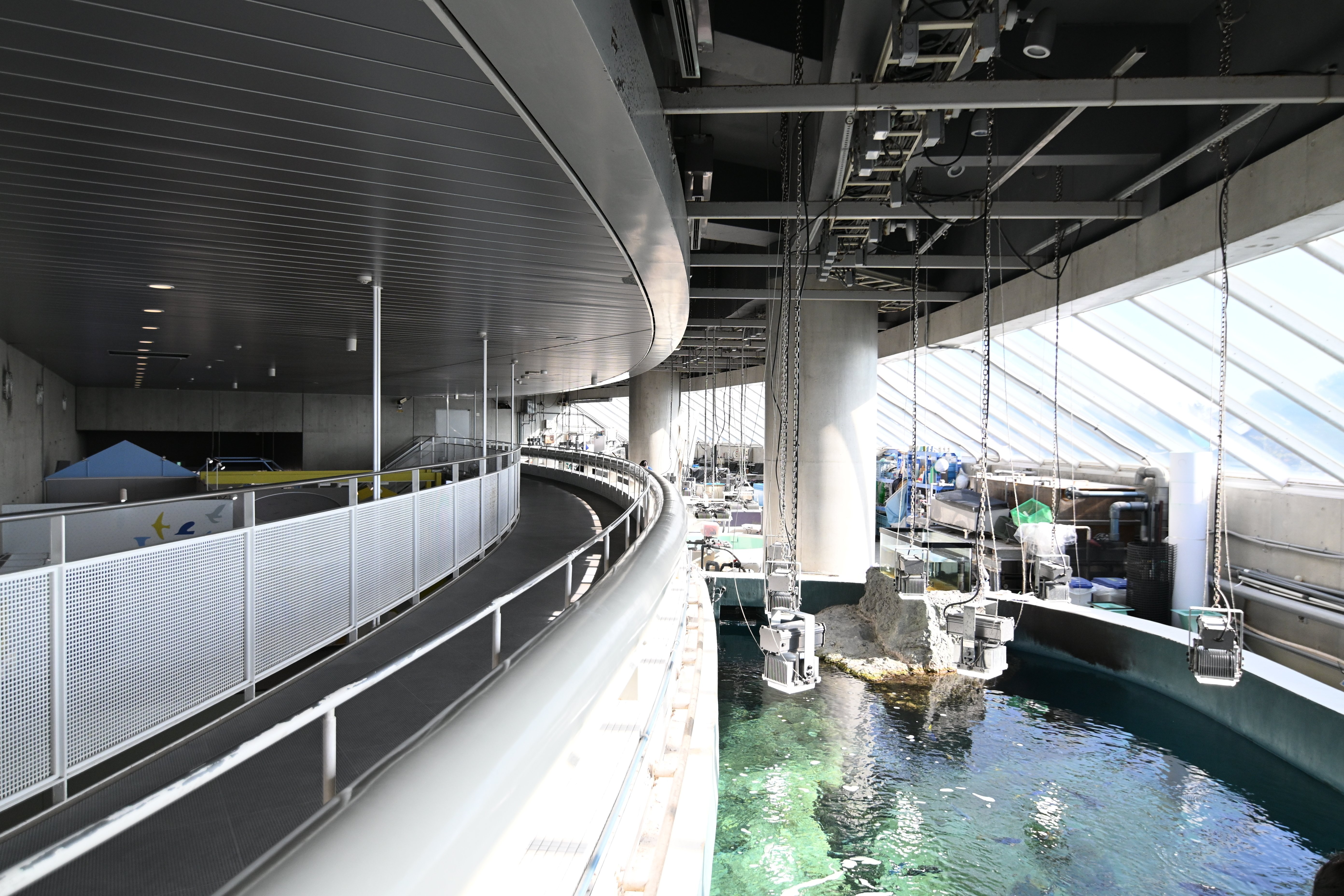 海風景　引き取りのみ 20251130_葛西臨海水族園【Nikon Z50IIと水族館】｜山ネズミ