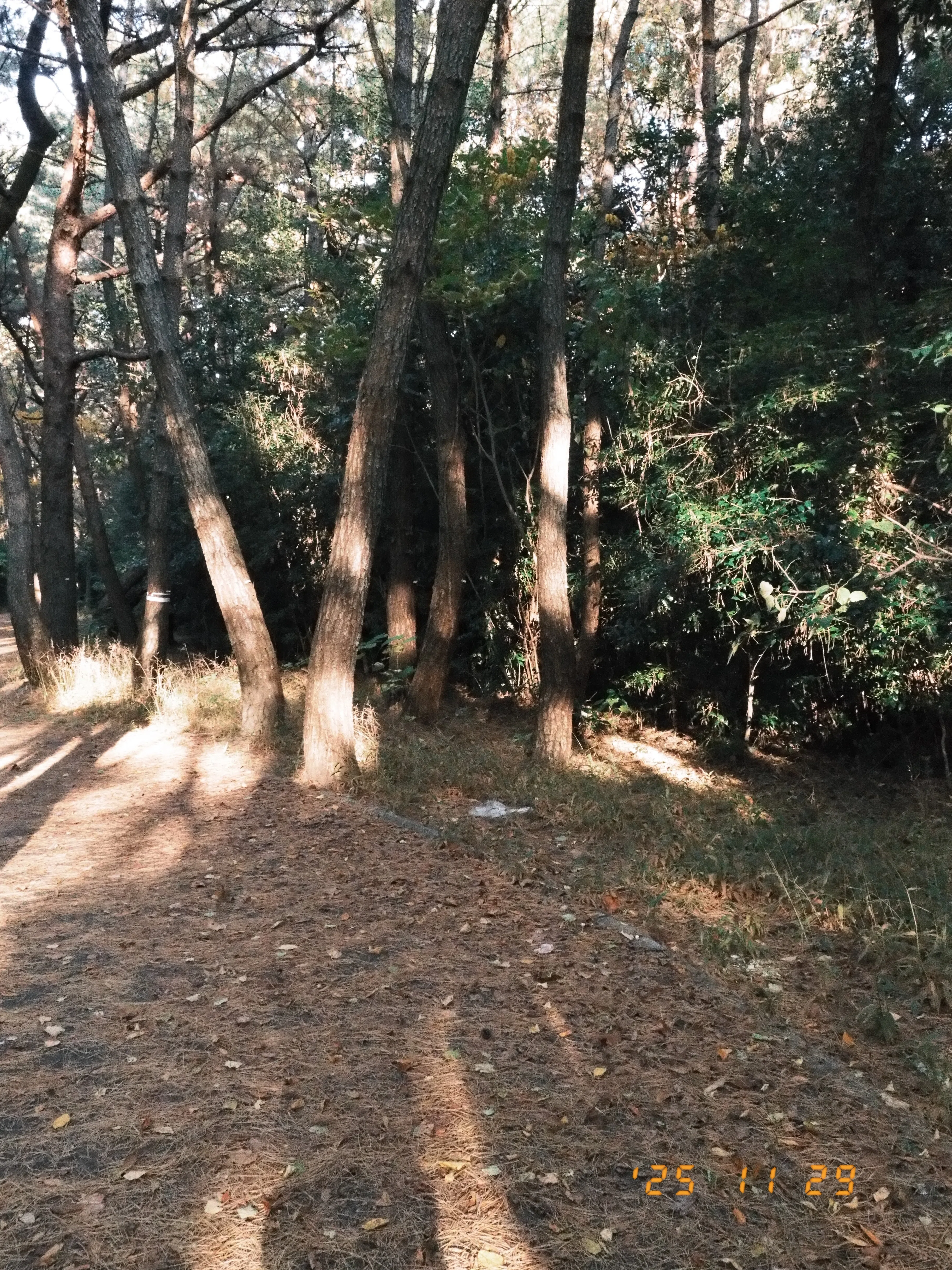 Road