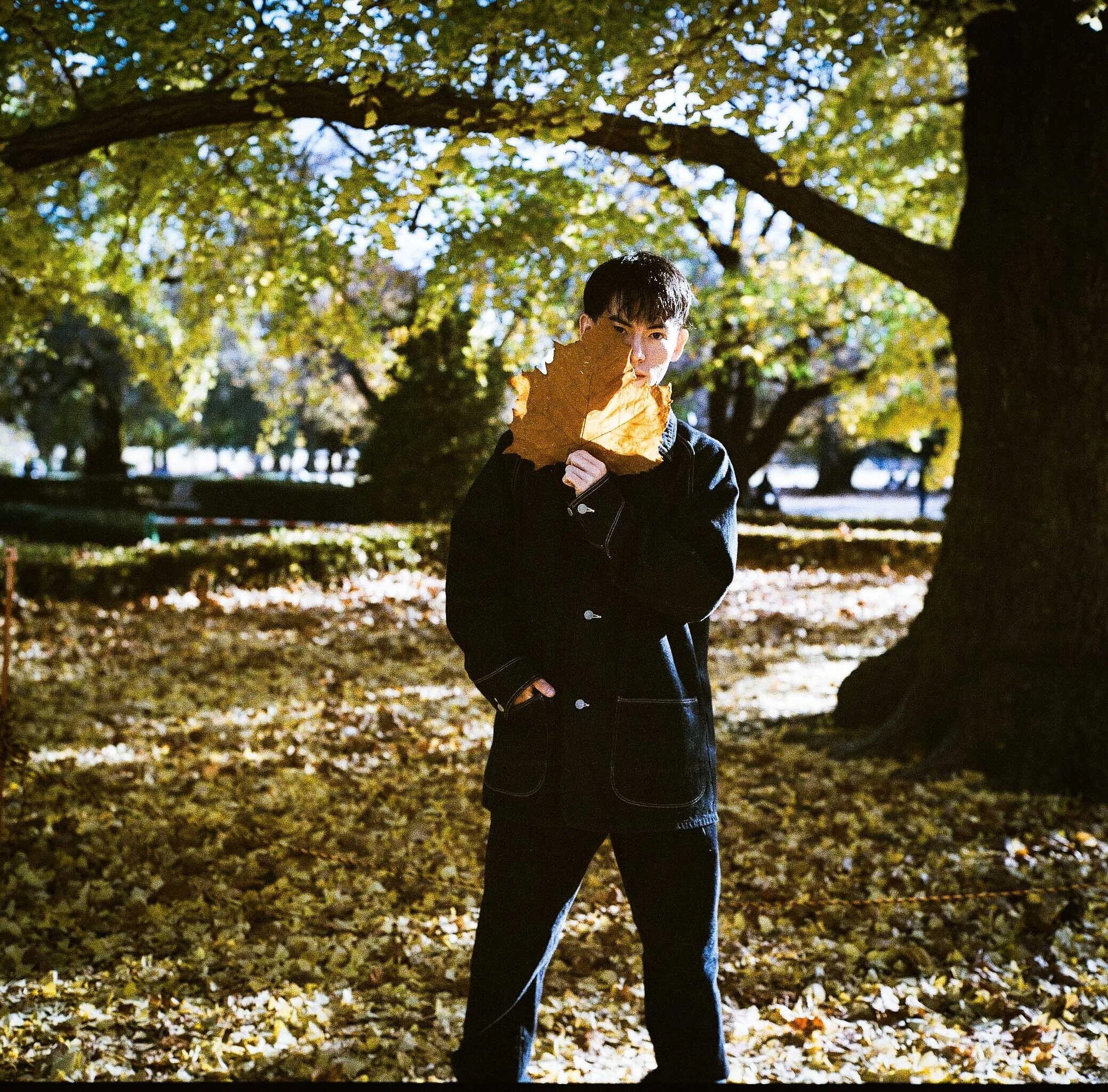 ROLLEIFLEX 2.8GX LomoChrome Color '92 120 ISO400で久しぶりの