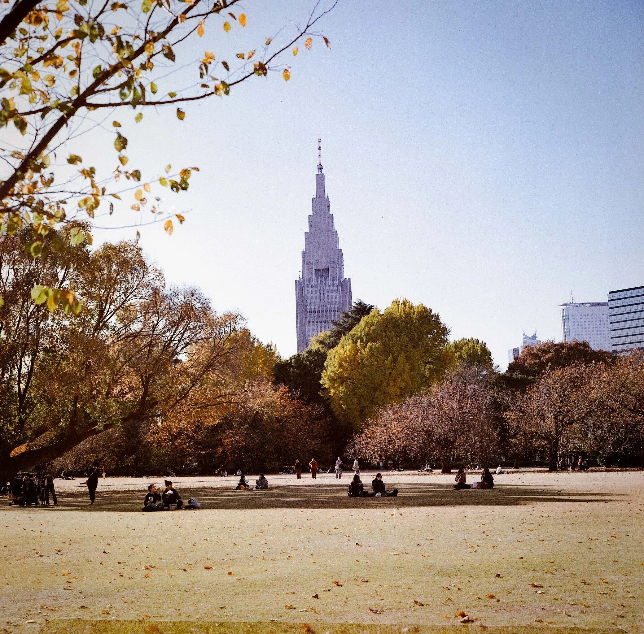 ROLLEIFLEX 2.8GX LomoChrome Color '92 120 ISO400で久しぶりの