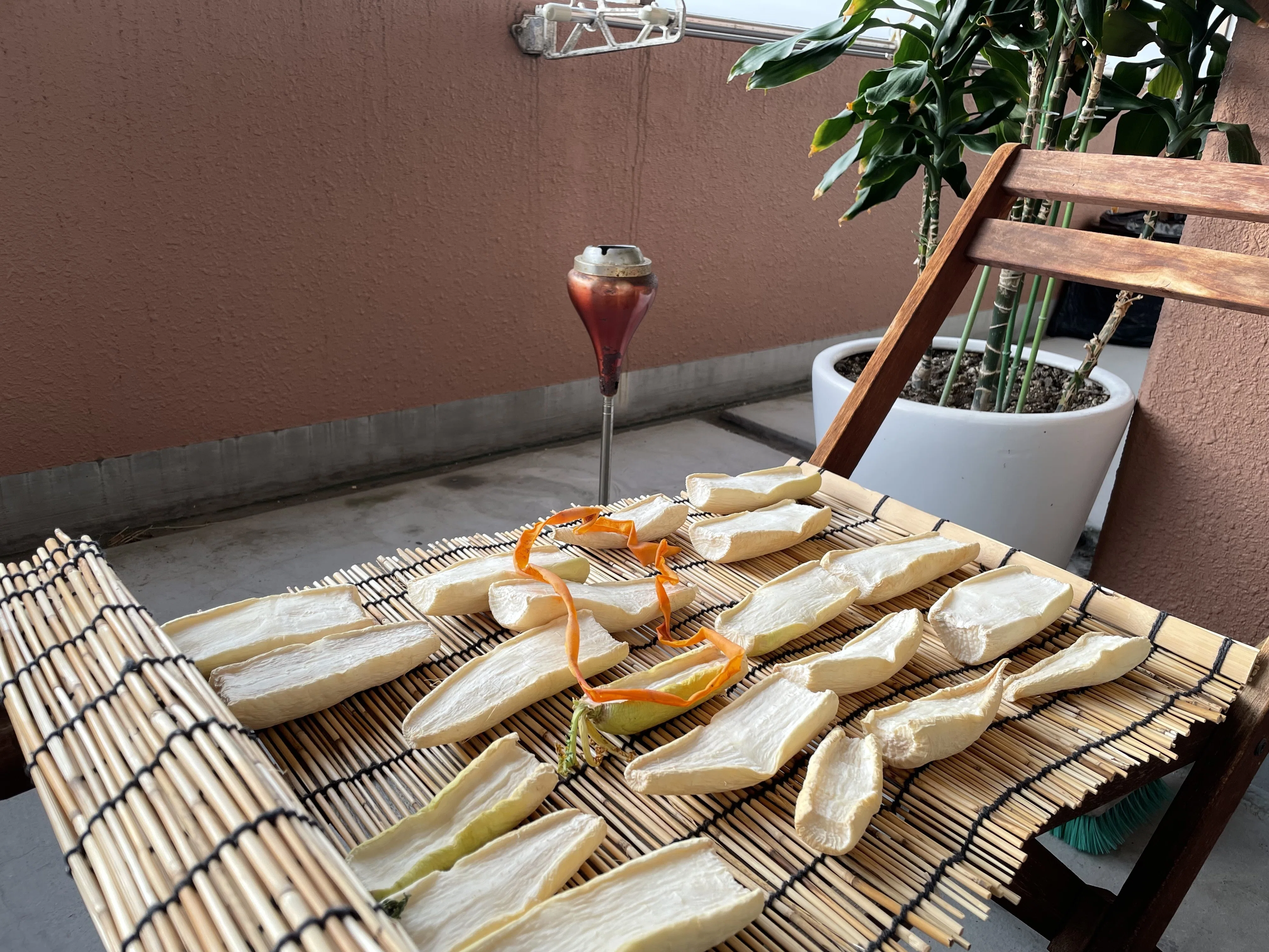 大根干すとこから沢庵作りをやってみる｜おかんのごはん_いとうまさえ