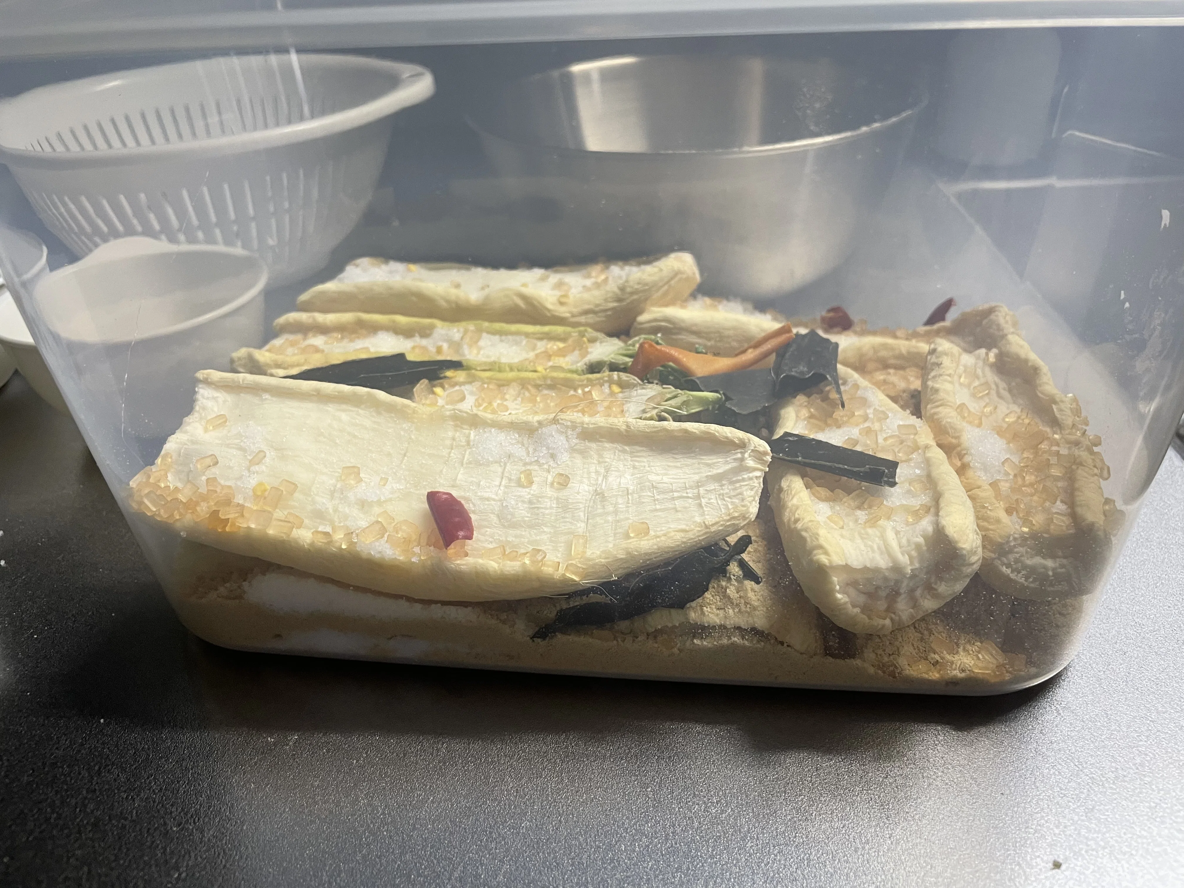 食品 金沢発送 干し大根5kg×2束（22本〜28本程度）※手作り沢庵に。