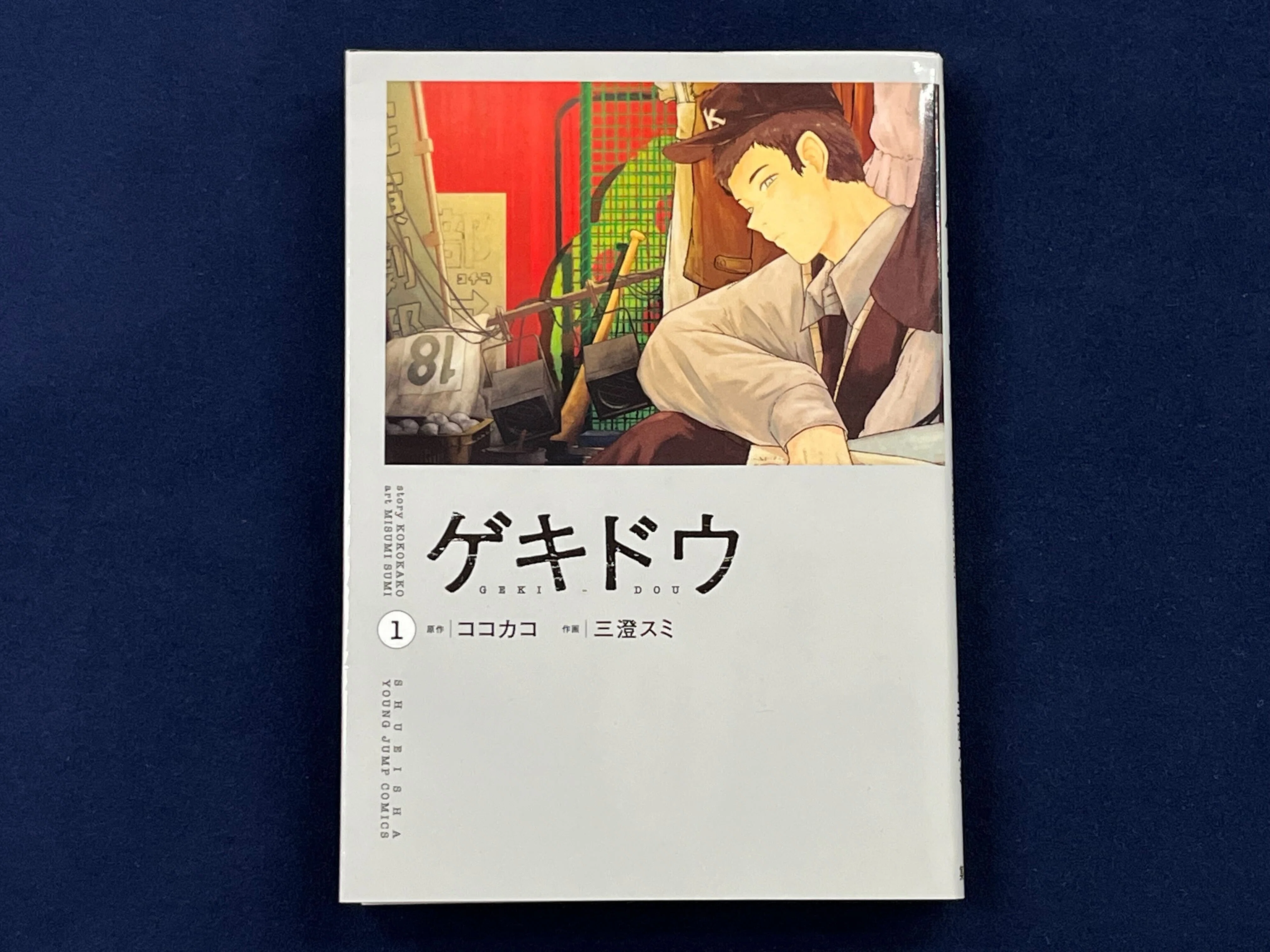 能にも演出がある―小書演出・新演出など [単行本] - 能にも演出がある: (ひのき能楽ライブラリー 演技と演出のレッスン THE BOOKSTORE