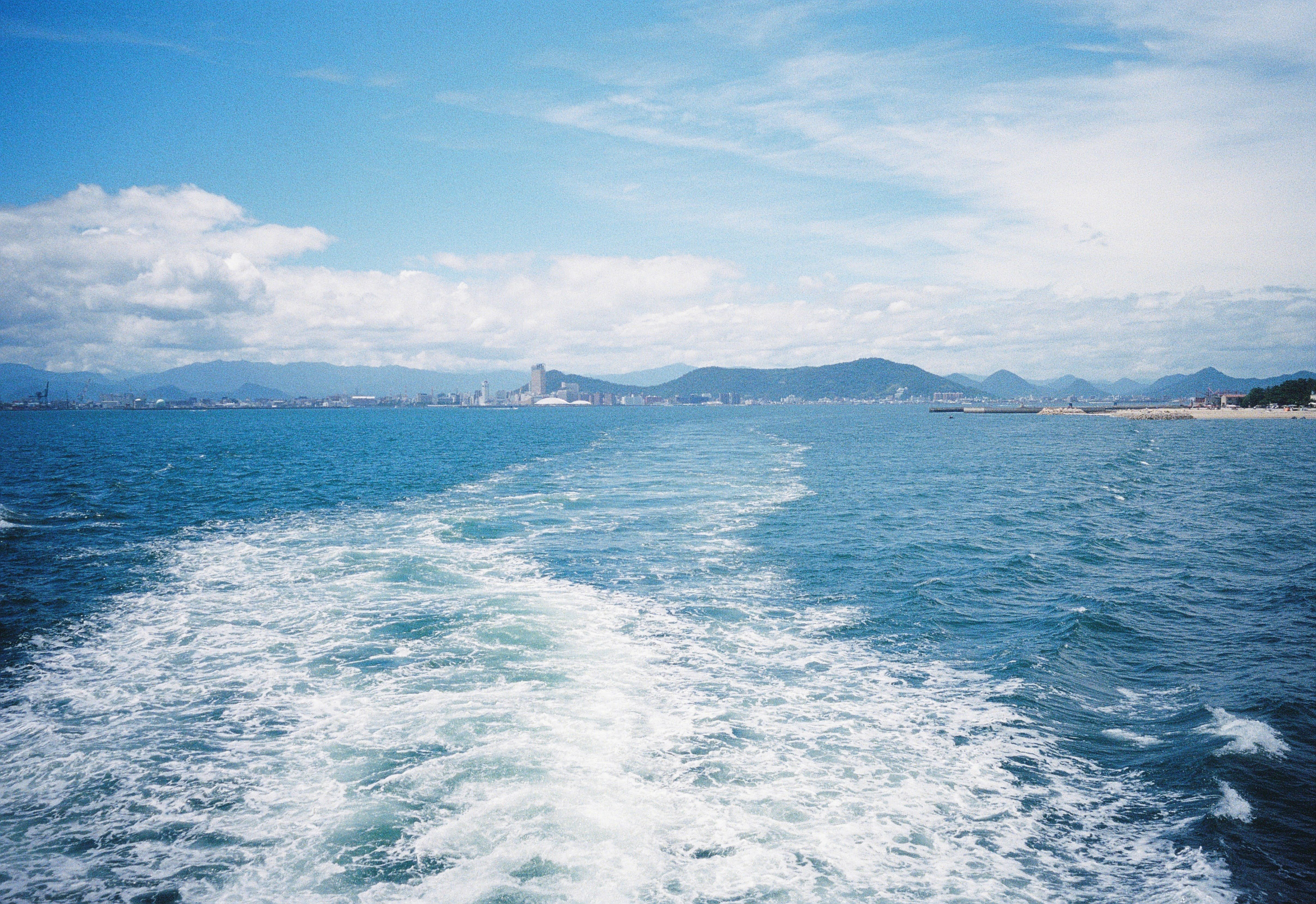 フィルム写真と夏への羨望｜かうちぽてと