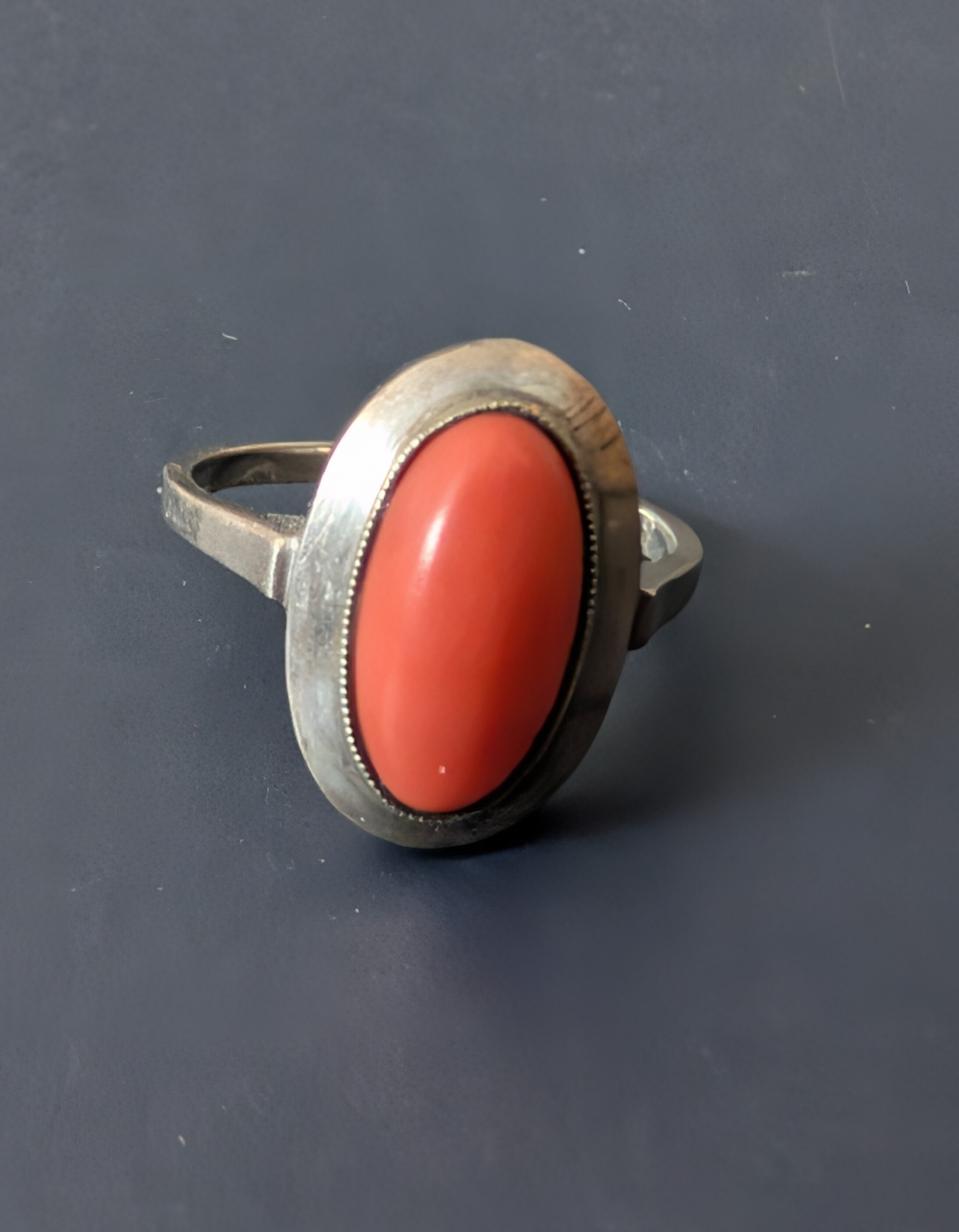 251204 さぁ珊瑚で暖をとろう｜水たまり