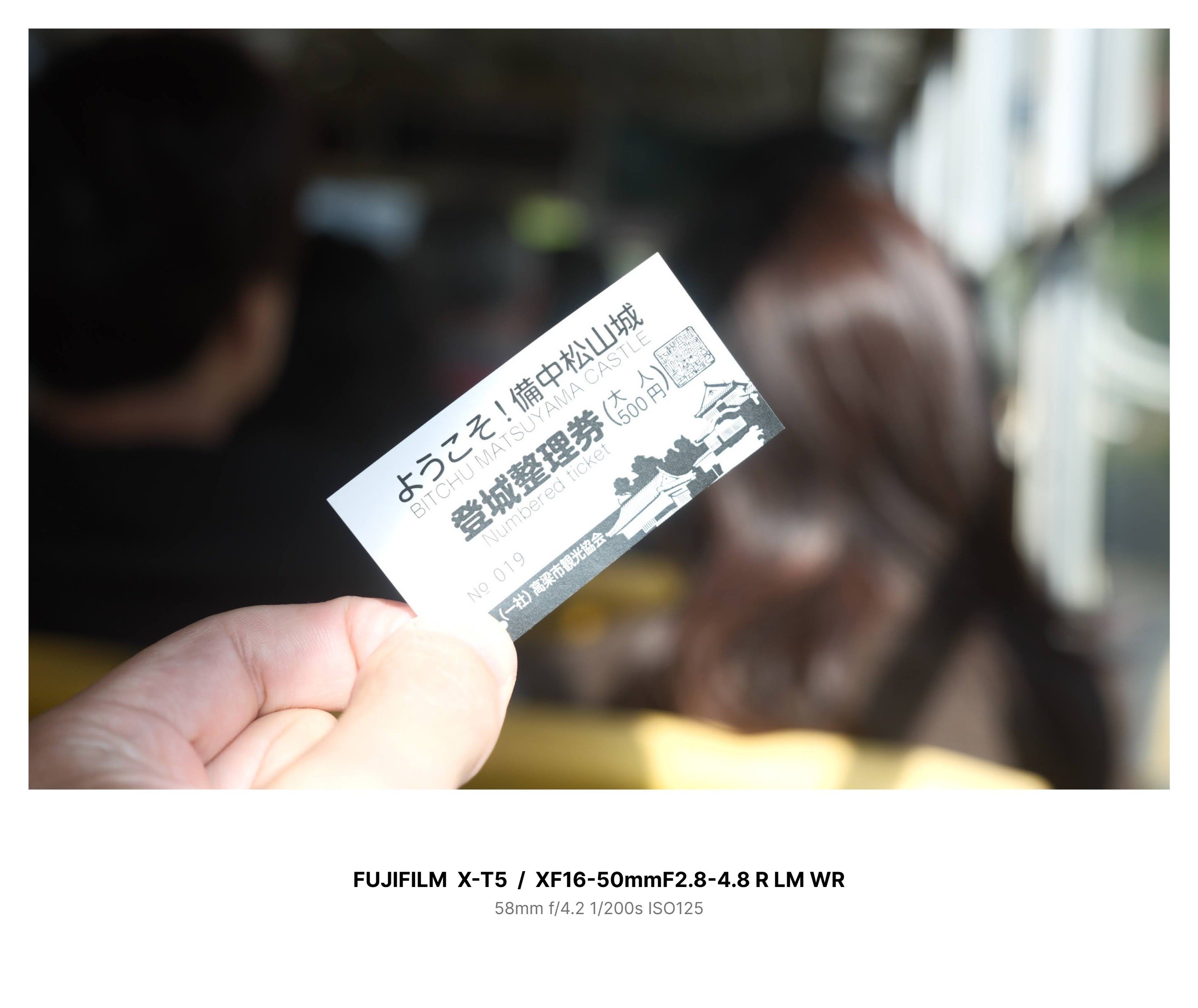 202512_X-T5と猫城主に謁見をたまわる｜みえ山