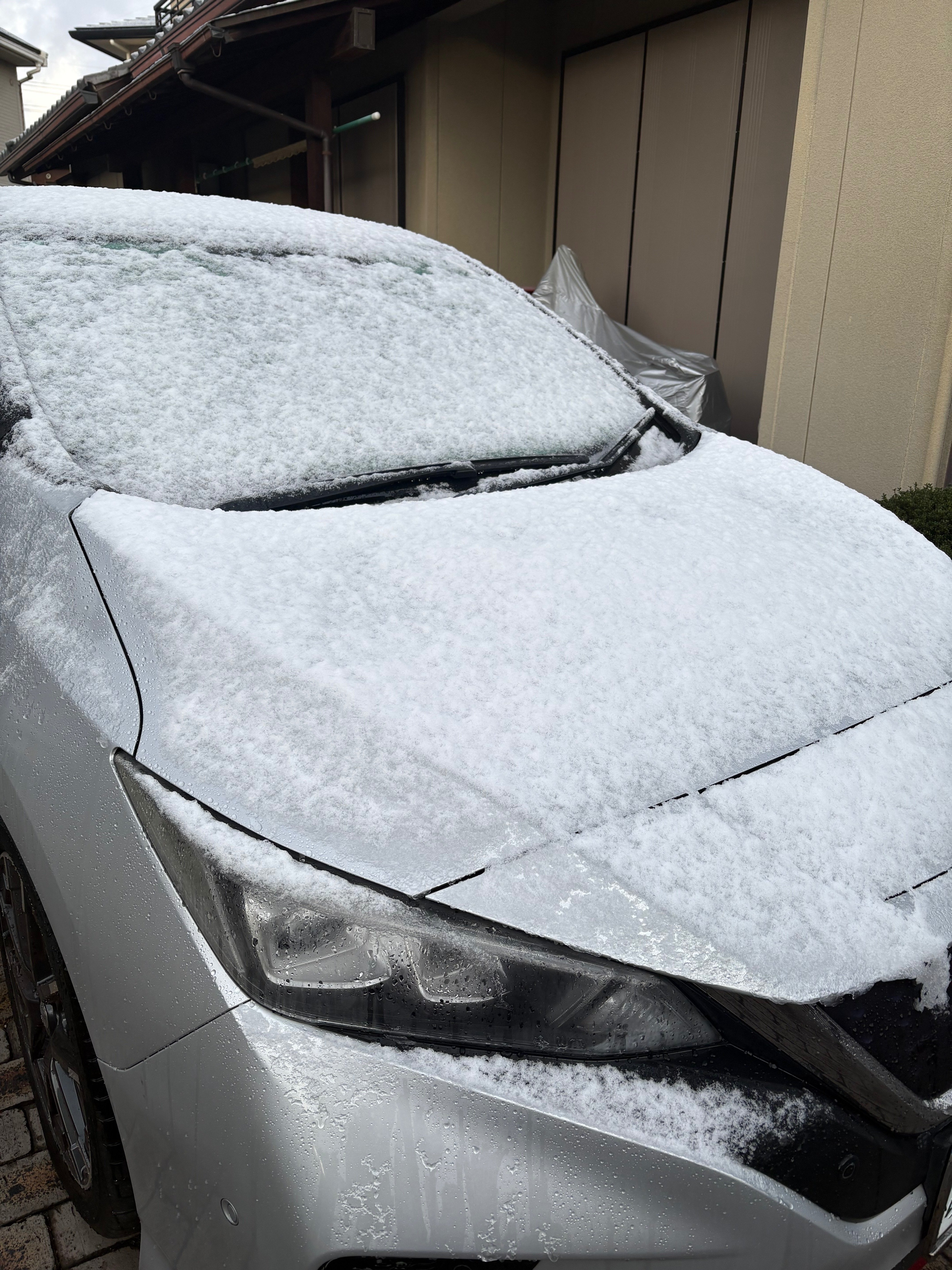 初雪｜御手洗 育／暮らしのエッセイスト