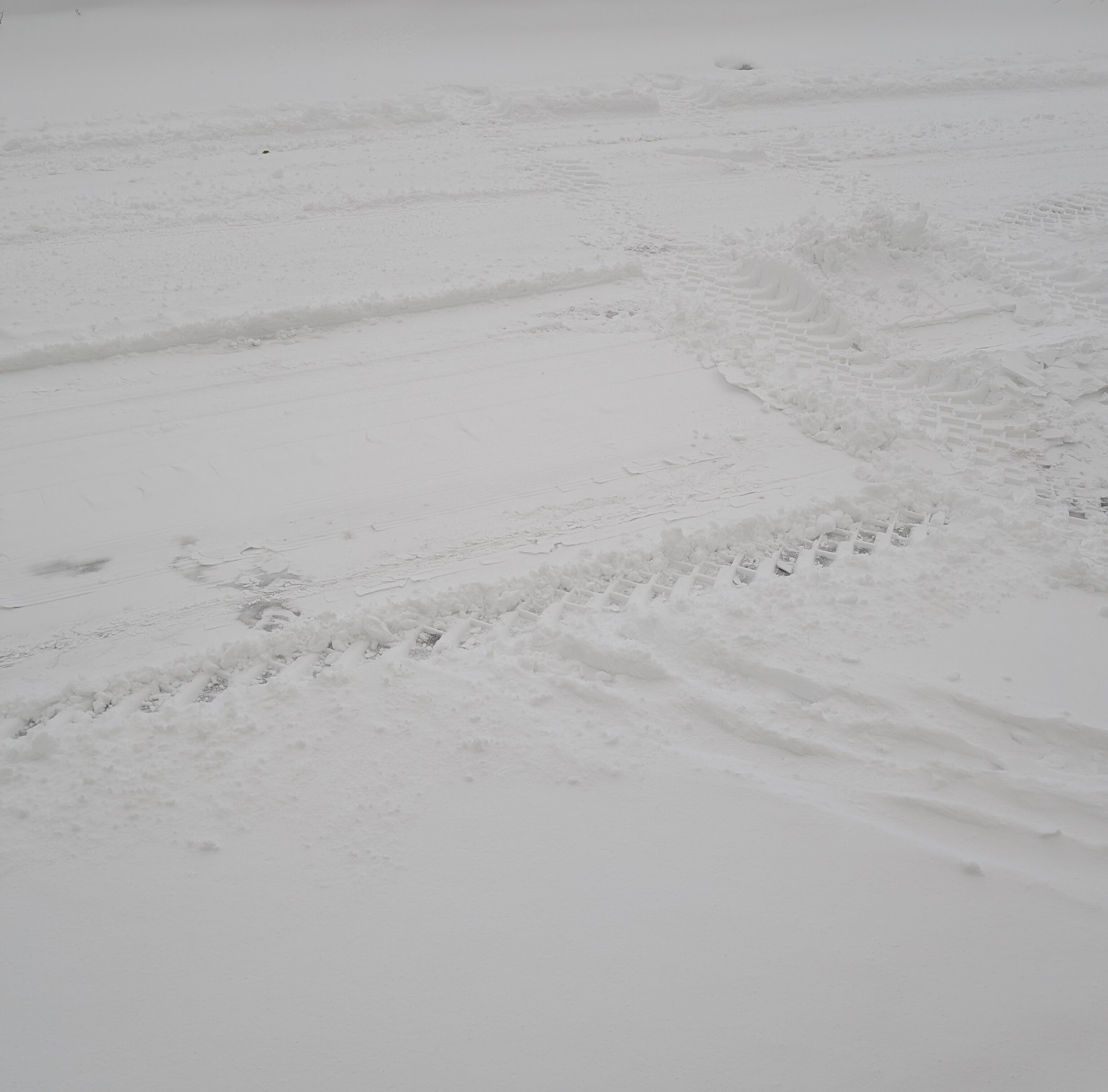 251204 さぁ珊瑚で暖をとろう｜水たまり