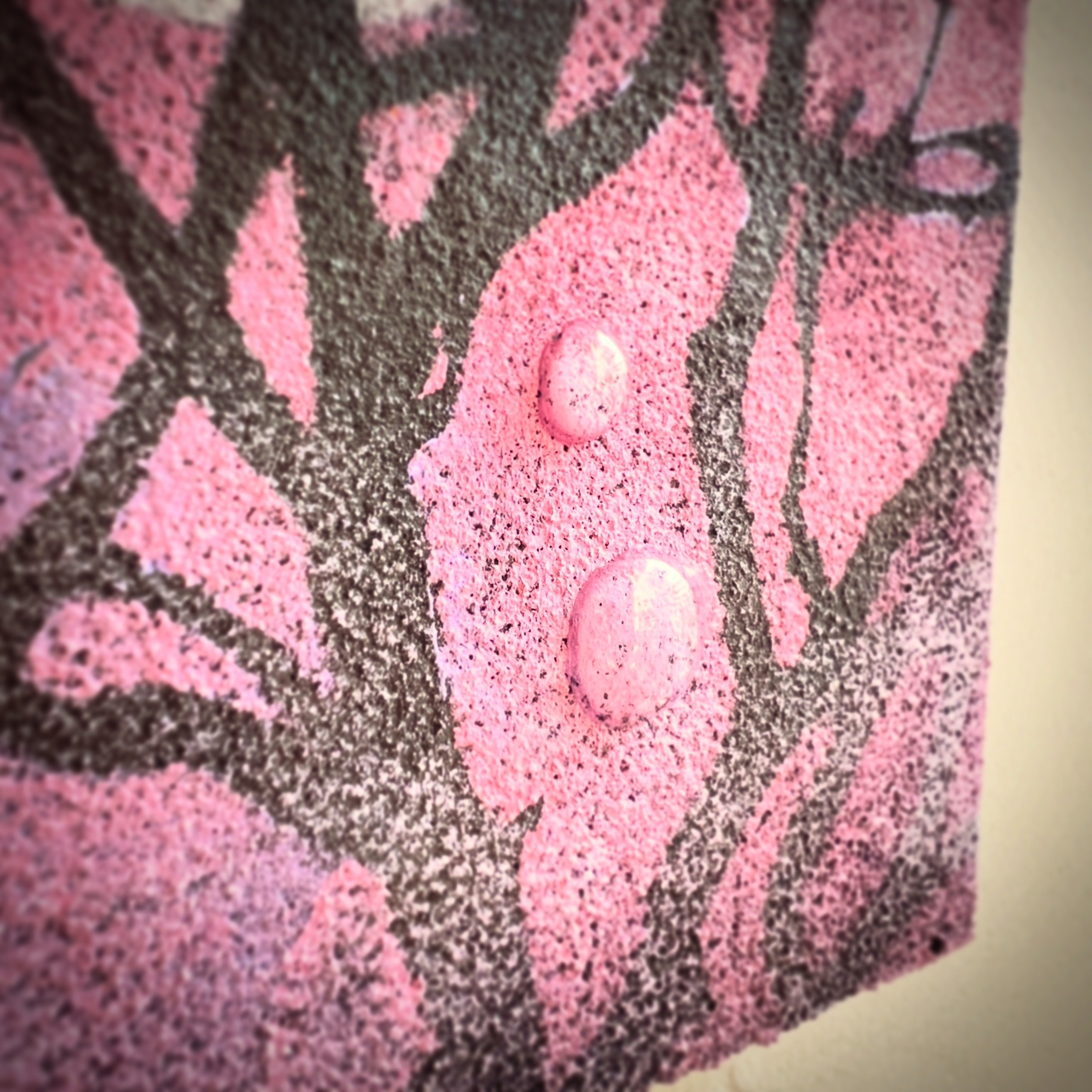 冬の入口に、ふたつの小さな森をつくりました。「凍光の森」と「夜霧の