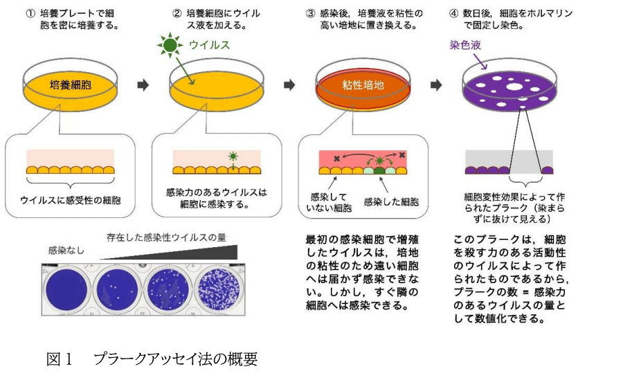 これからの「日本の医療」を支える新技術を4つ紹介するで！｜研究員n
