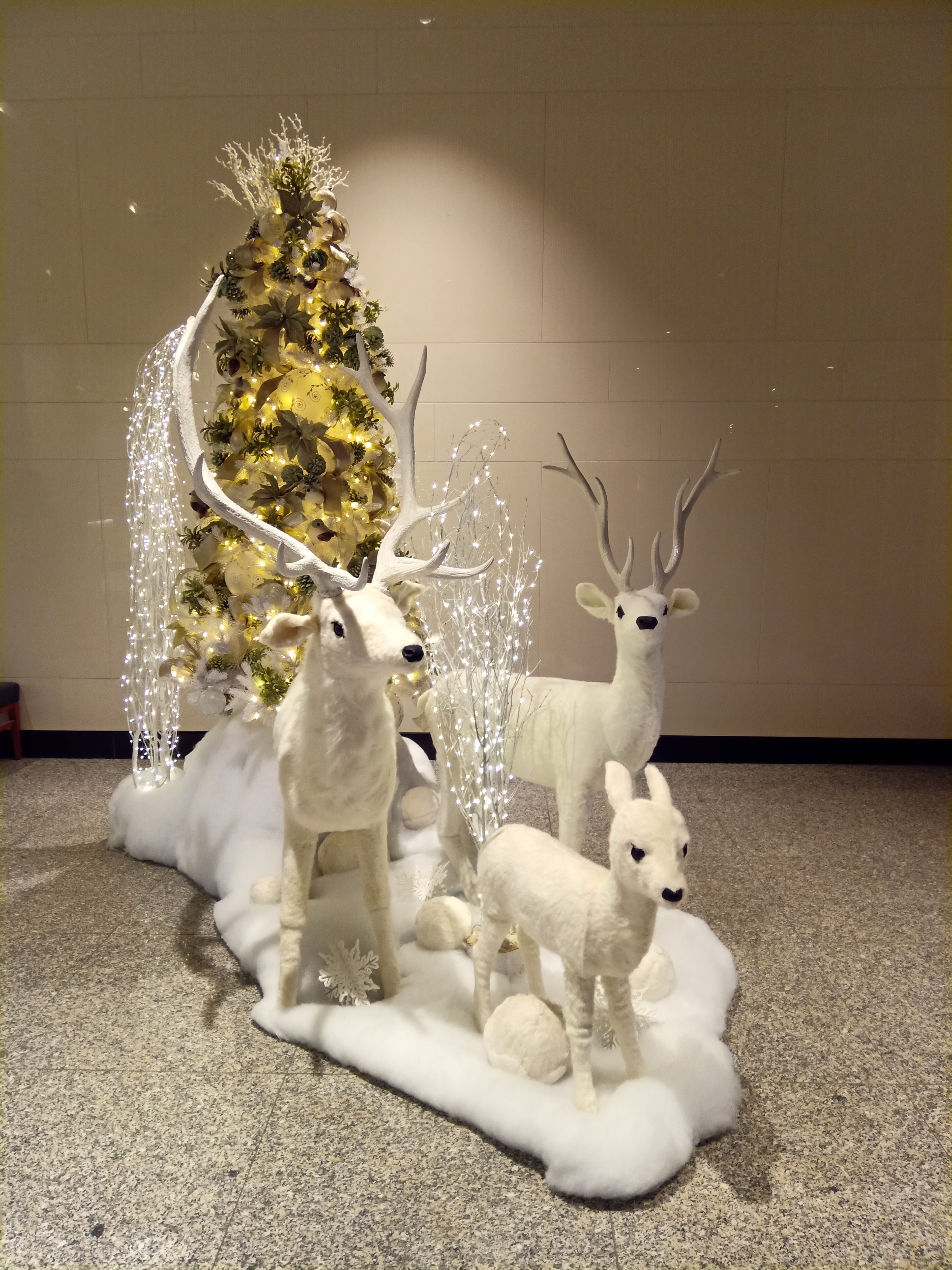 ほぼ写真】クリスマスツリー特集｜カナダからこんにちは。Chai