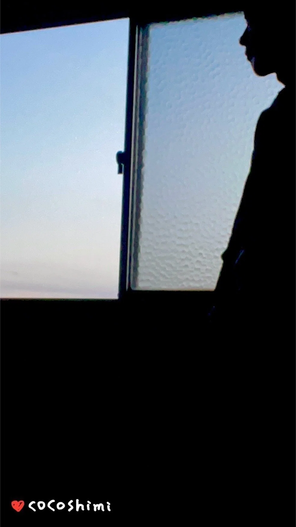 『💠コラム的な:』トップ 👉📖『ここしみ(上)(下)』から抜粋したエッセイ集