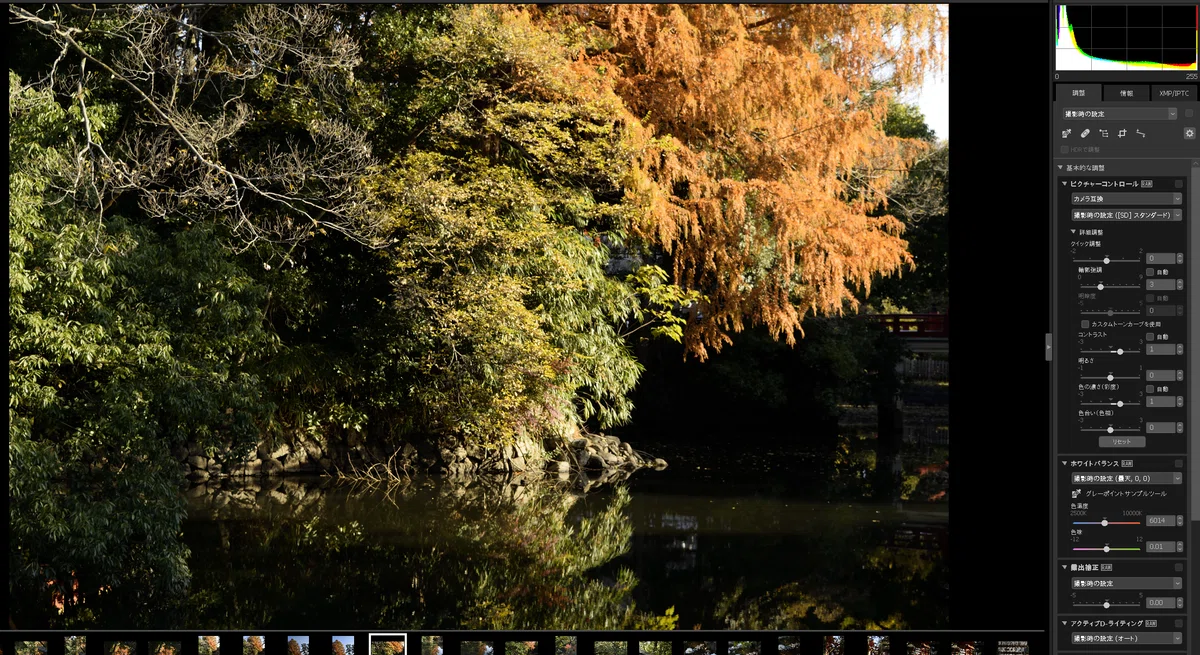 撮って出しjpegチャレンジ : Nikon D3300の「スタンダード」｜fueda218