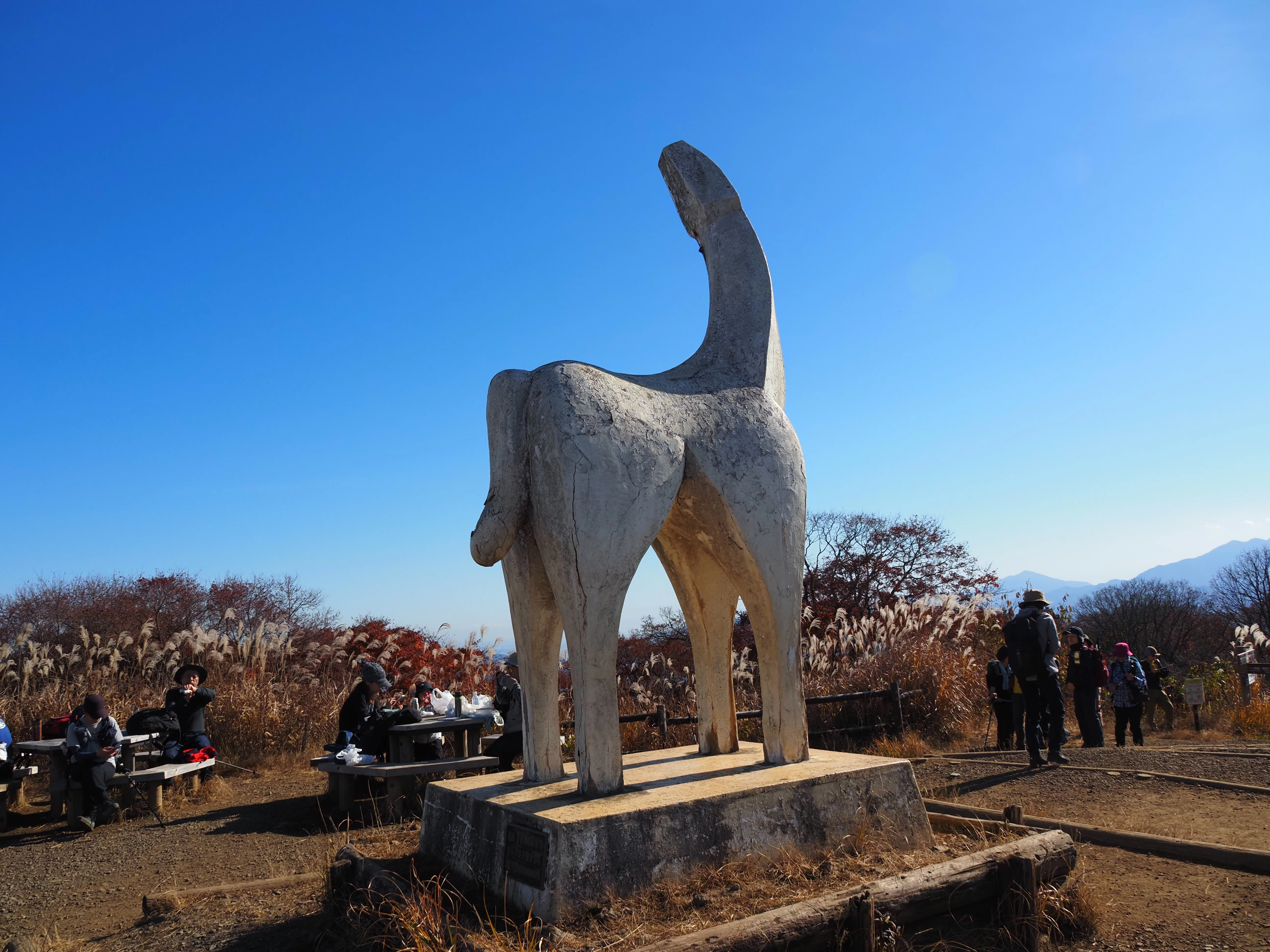 原稿用紙3枚の山旅ブログ9 白馬の陣馬山｜小野博宣